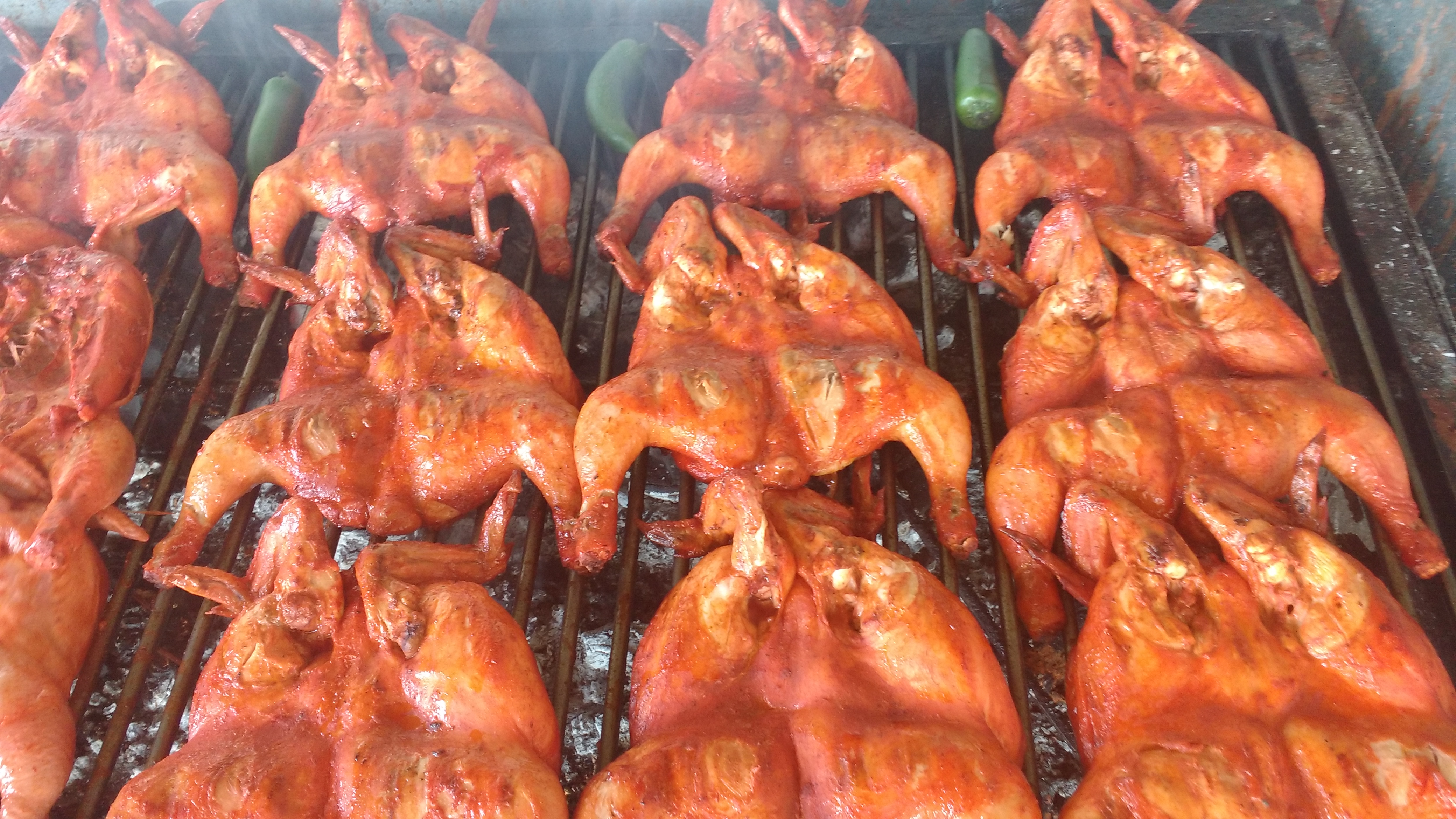 Pollos "Marlene" image 4