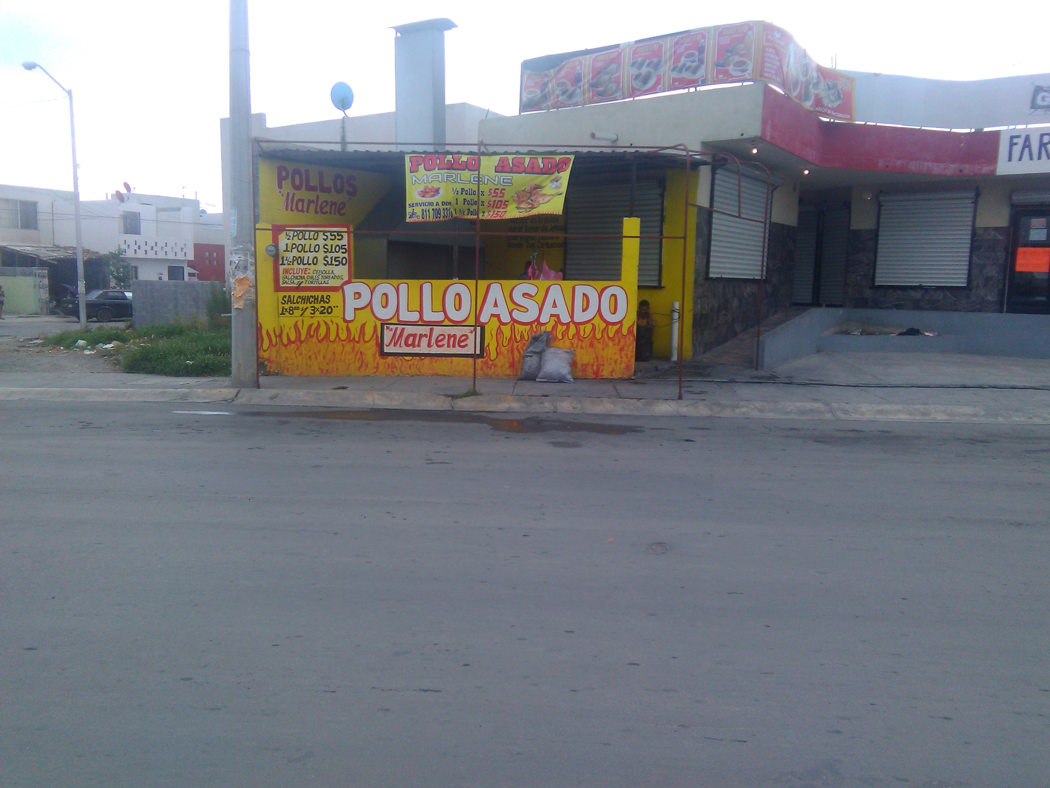 Pollos "Marlene" image 8