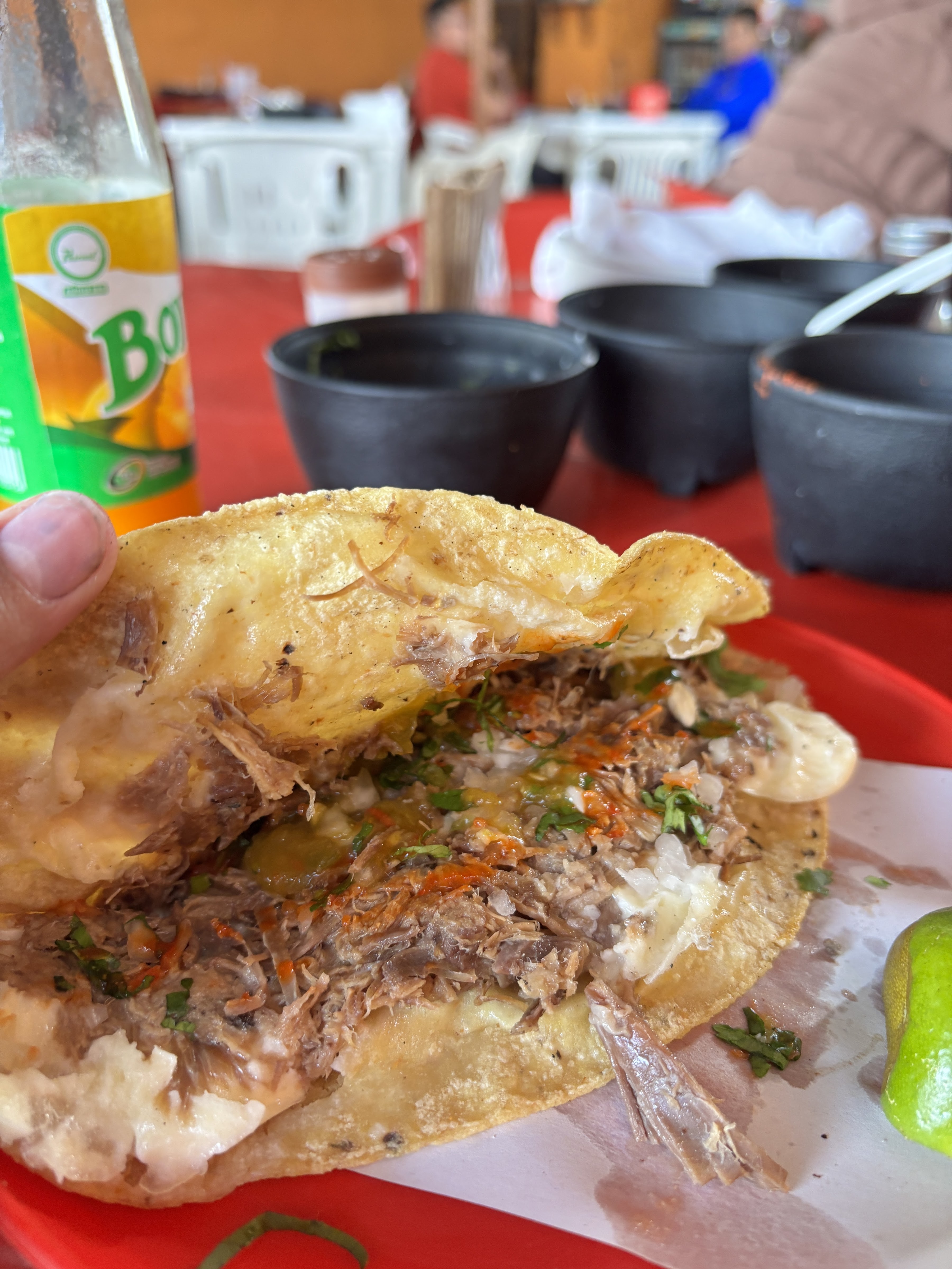 Tacos el Guero image 1