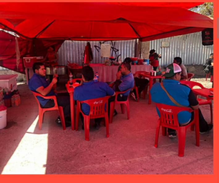 Tacos y carnitas El Gallo image 1