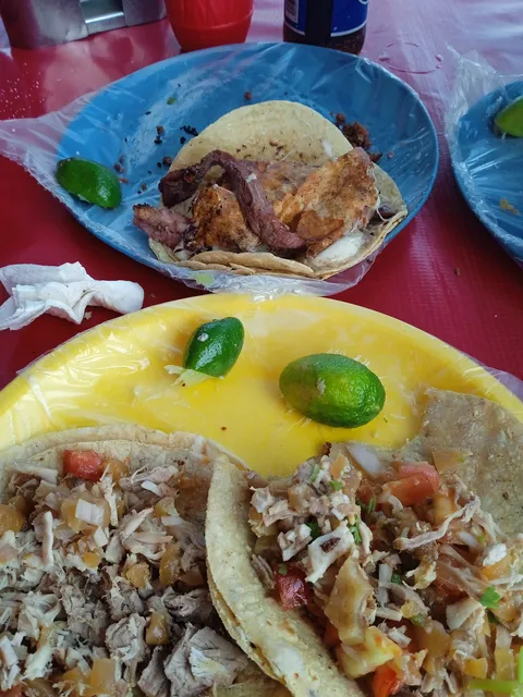 Tacos y carnitas El Gallo image 2
