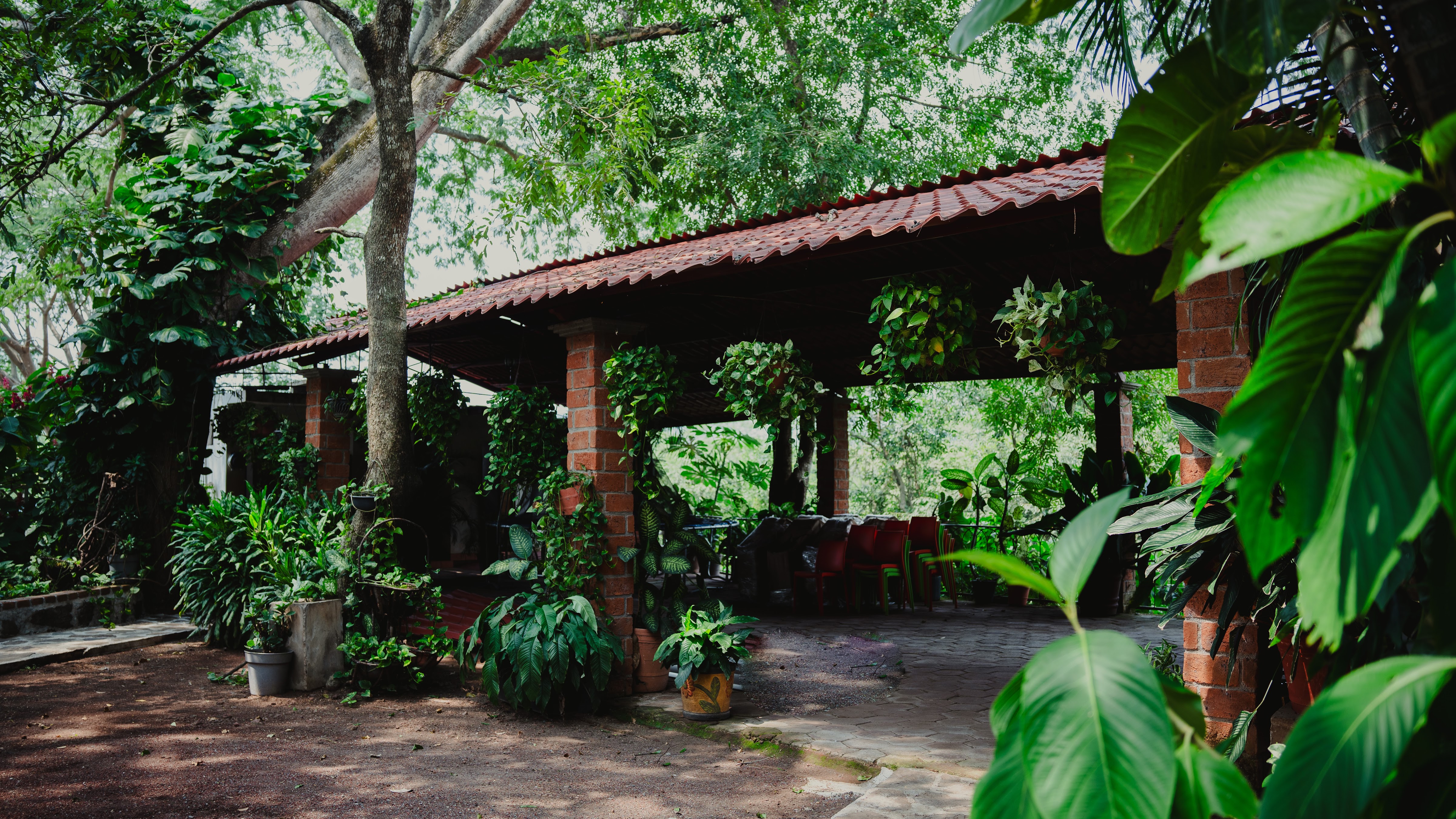 Restaurante Las Parotas image 5