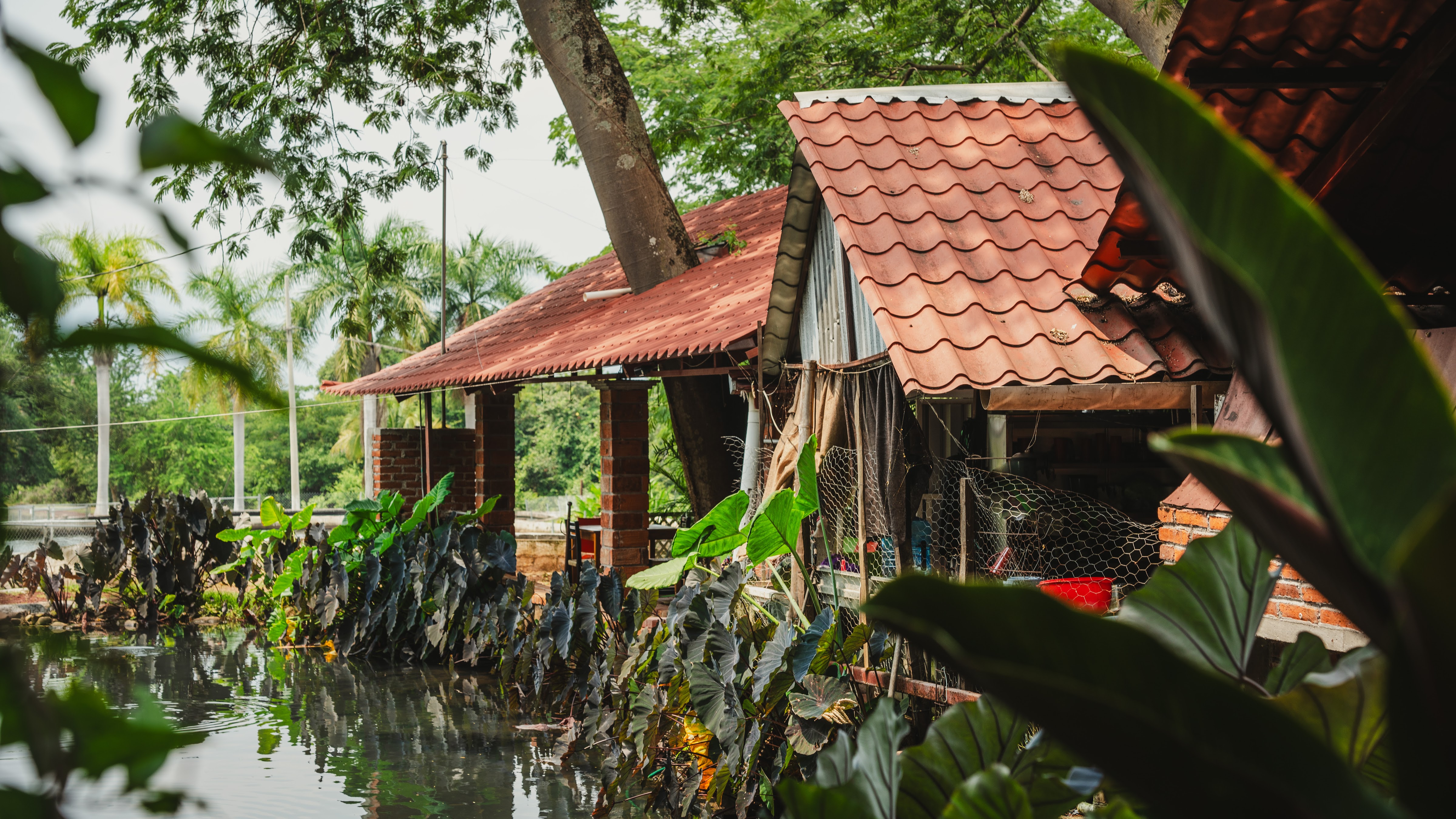 Restaurante Las Parotas image 10