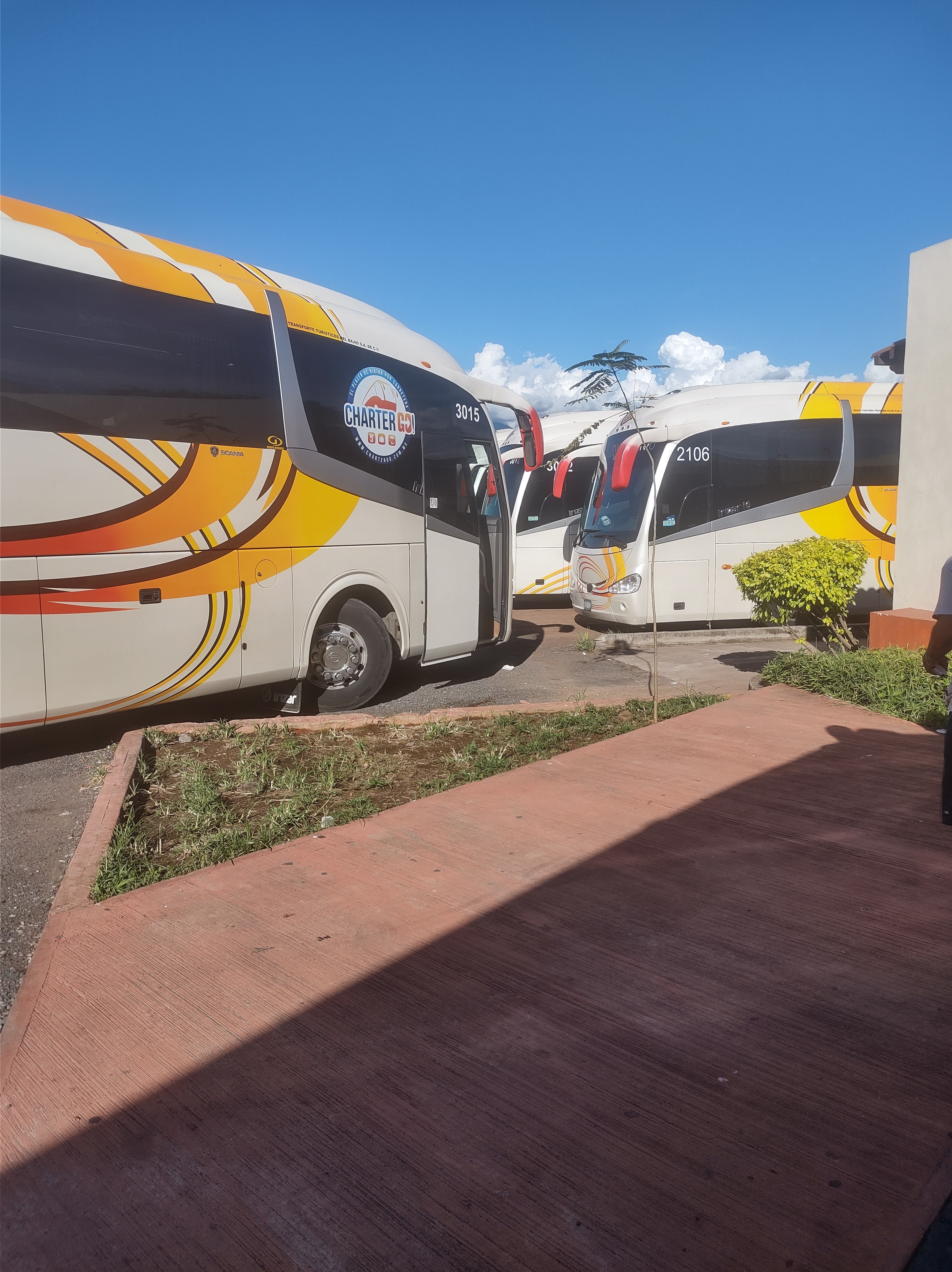 El Nuevo Rincón image 8