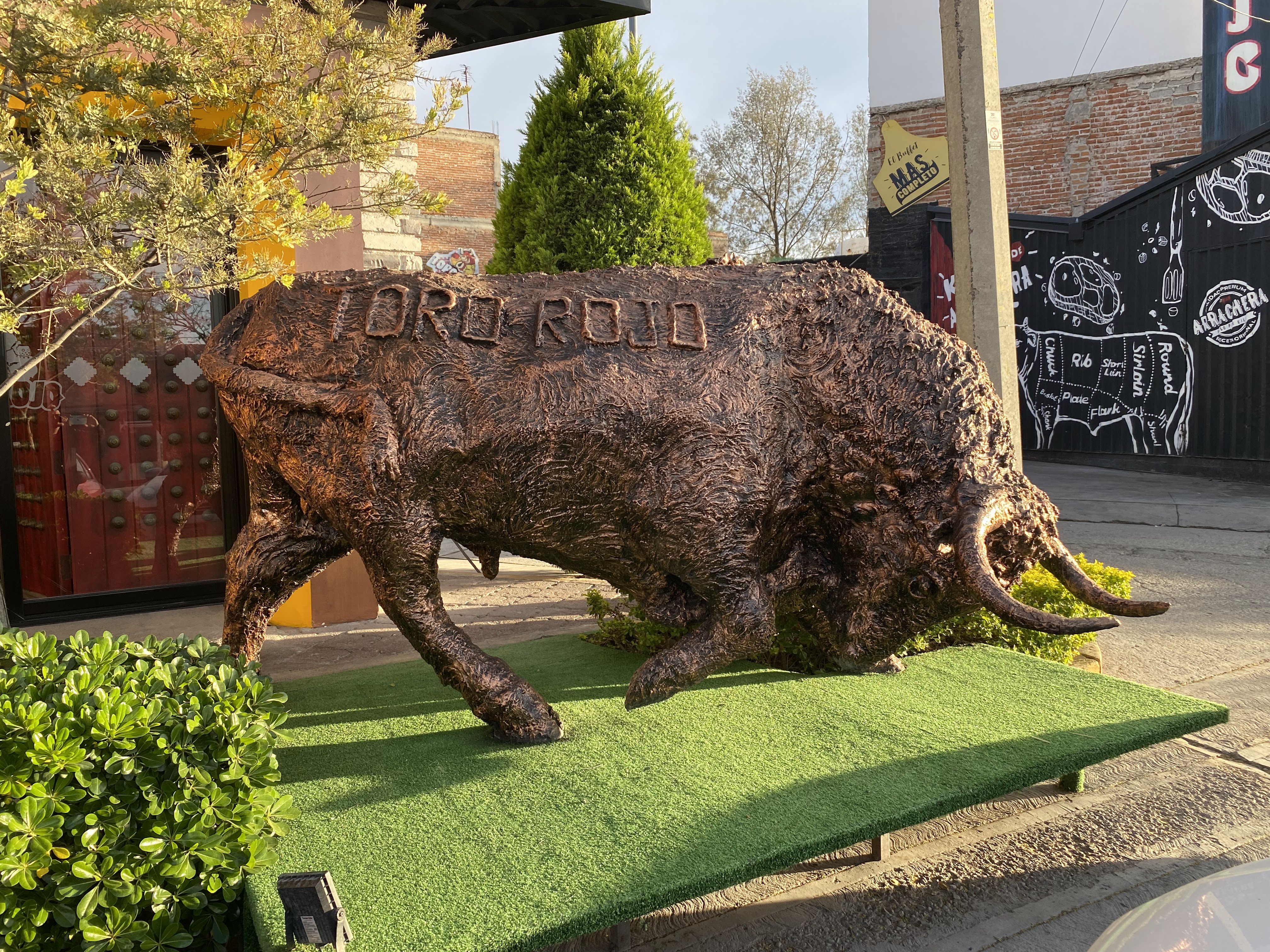 Toro Rojo Dolores Hidalgo image 5