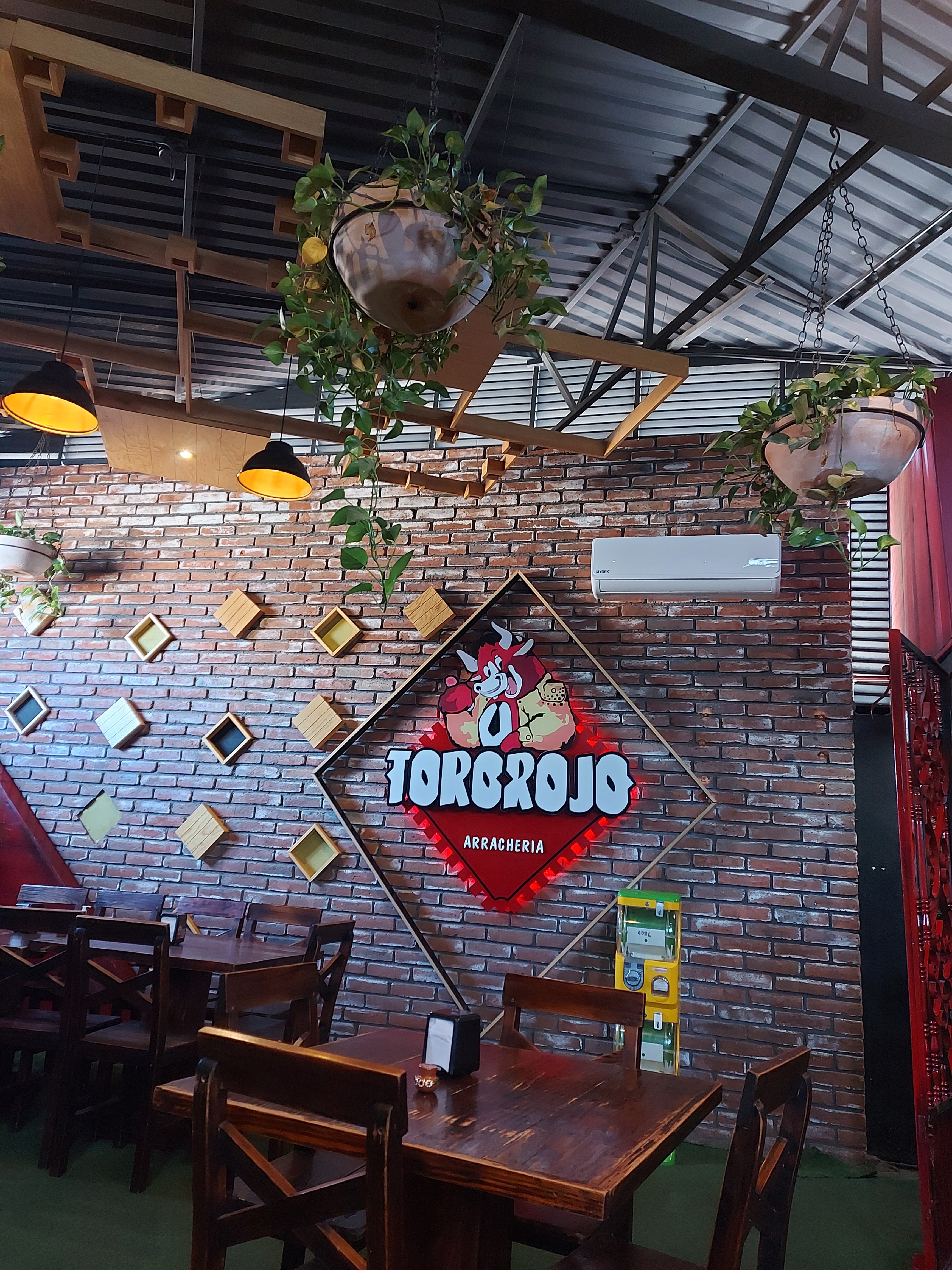 Toro Rojo Dolores Hidalgo image 10