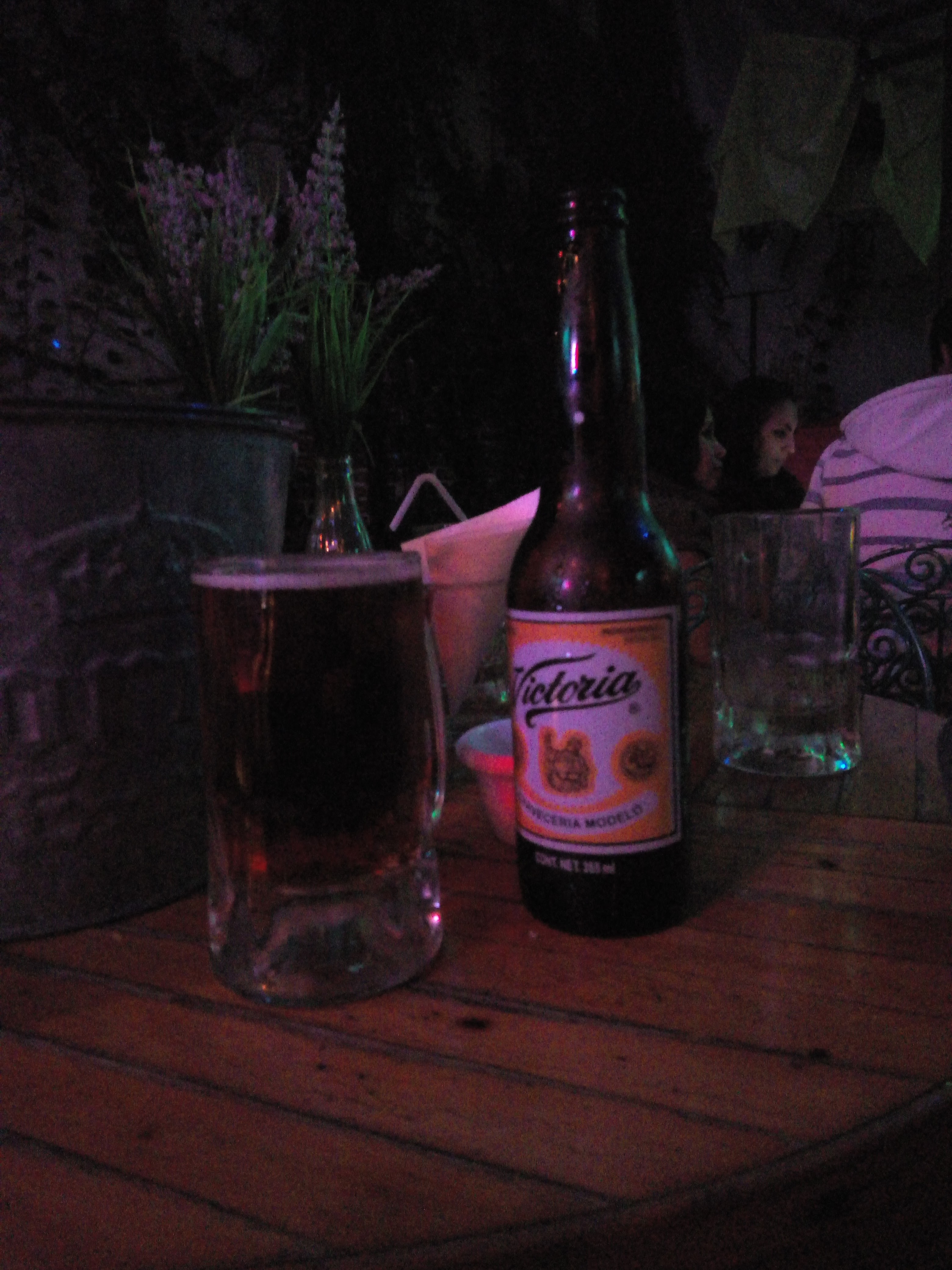 El Jardin del Colibri image 1