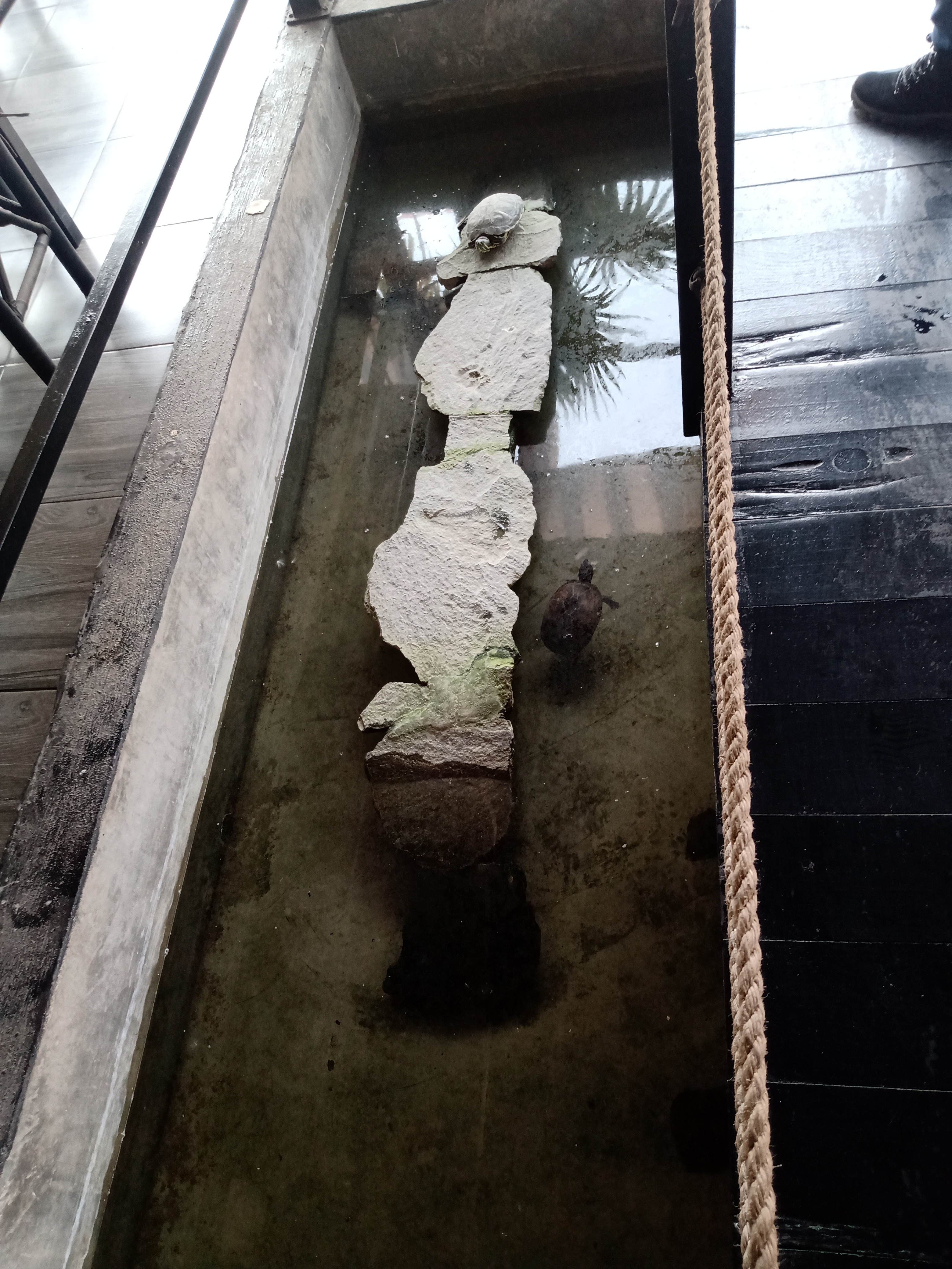 Mariscos Boca Del Río image 5