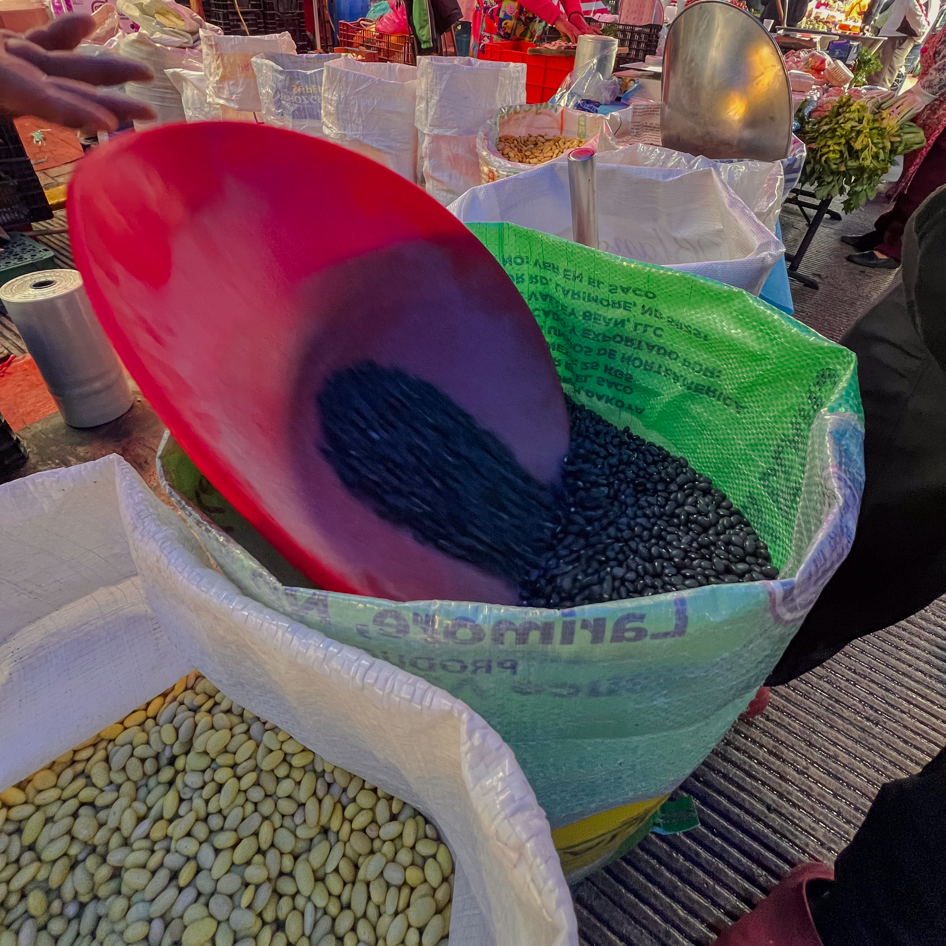 AMALAYA QUE REVIDO image 6