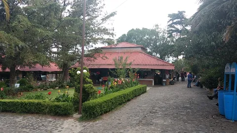 Restaurante La Pasadita image 2