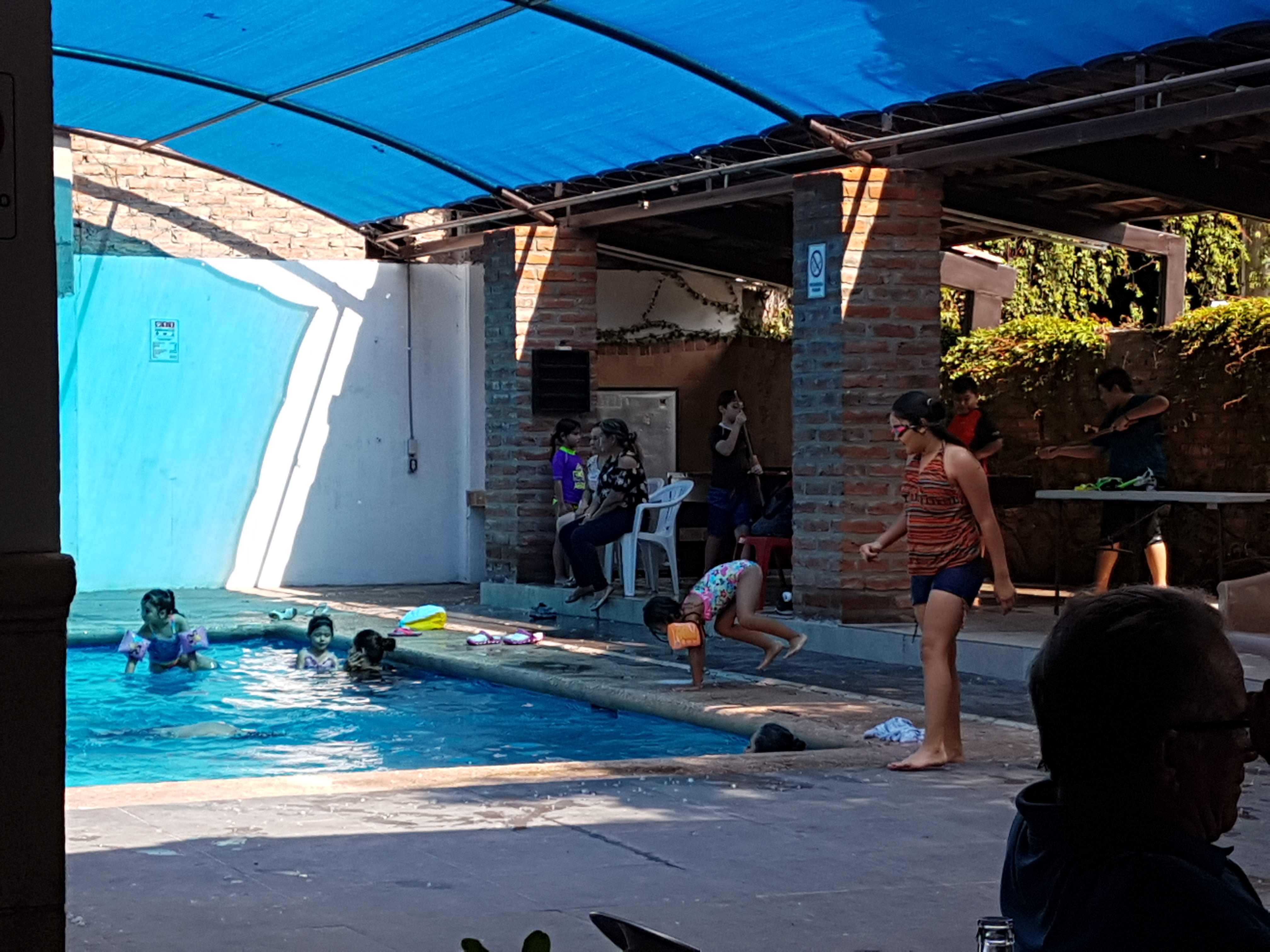 Los Pavorreales image 2