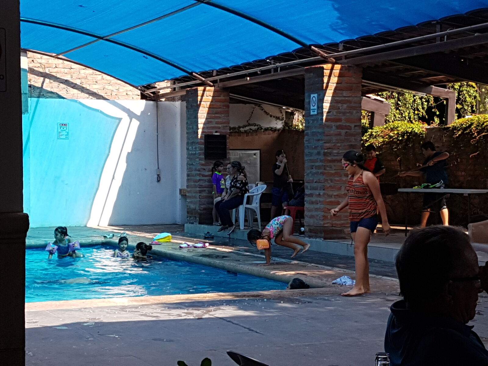 Los Pavorreales image 2