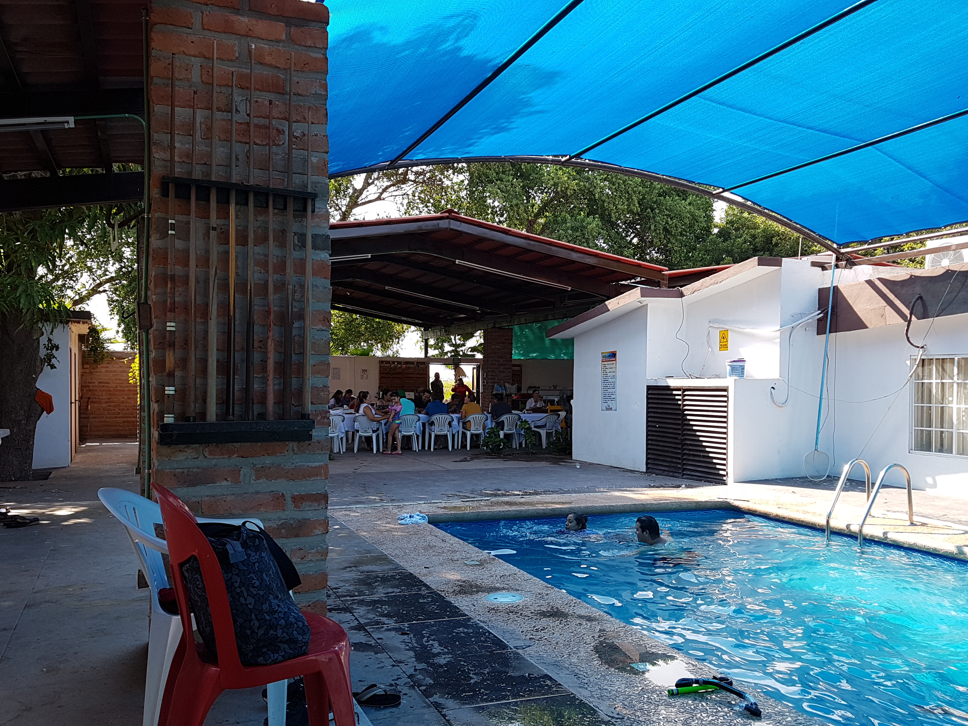 Los Pavorreales image 3