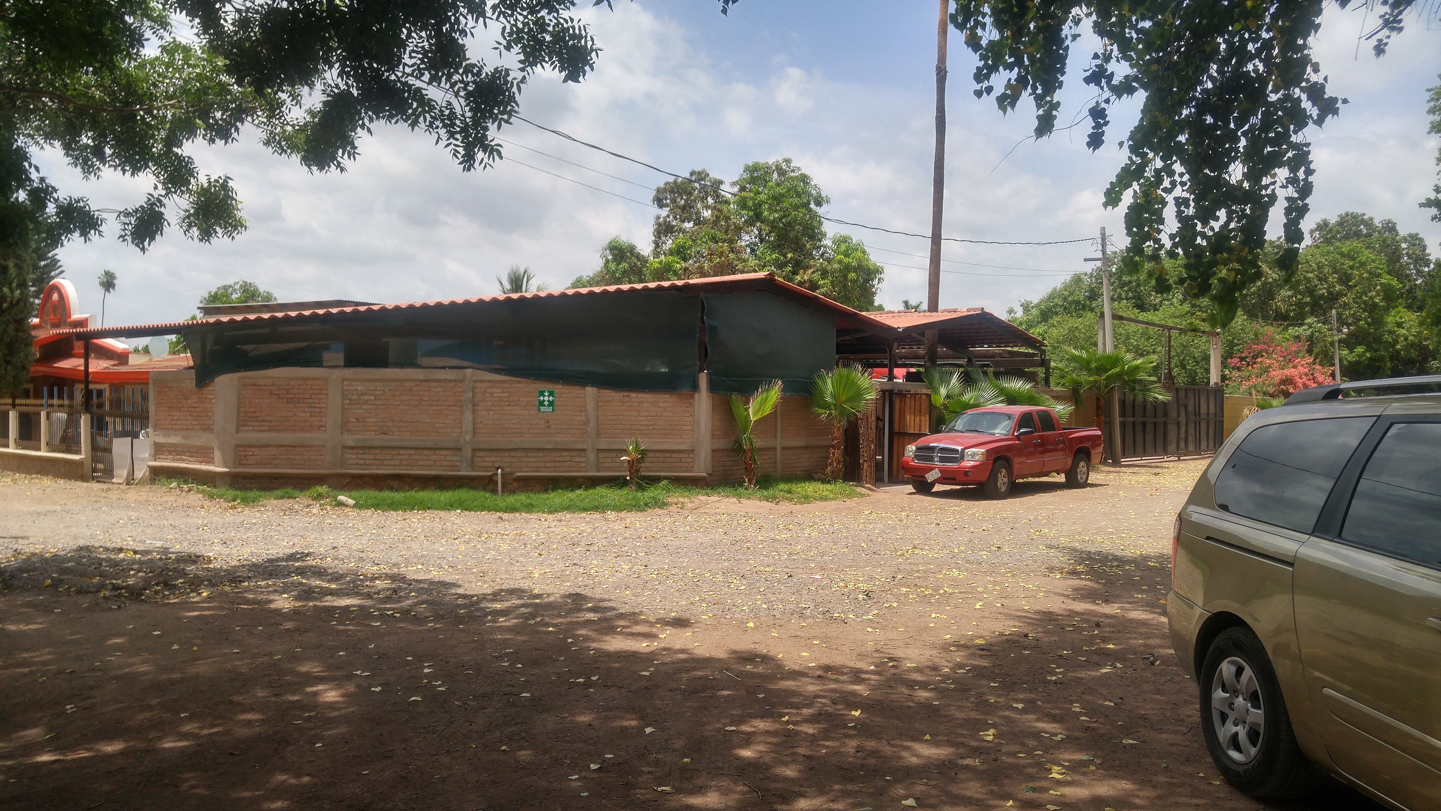 Los Pavorreales image 5