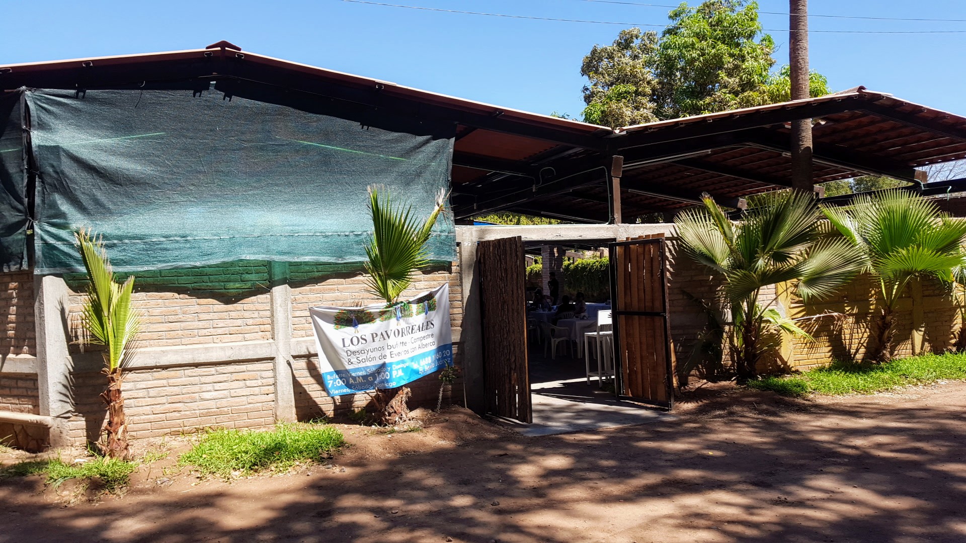 Los Pavorreales image 6