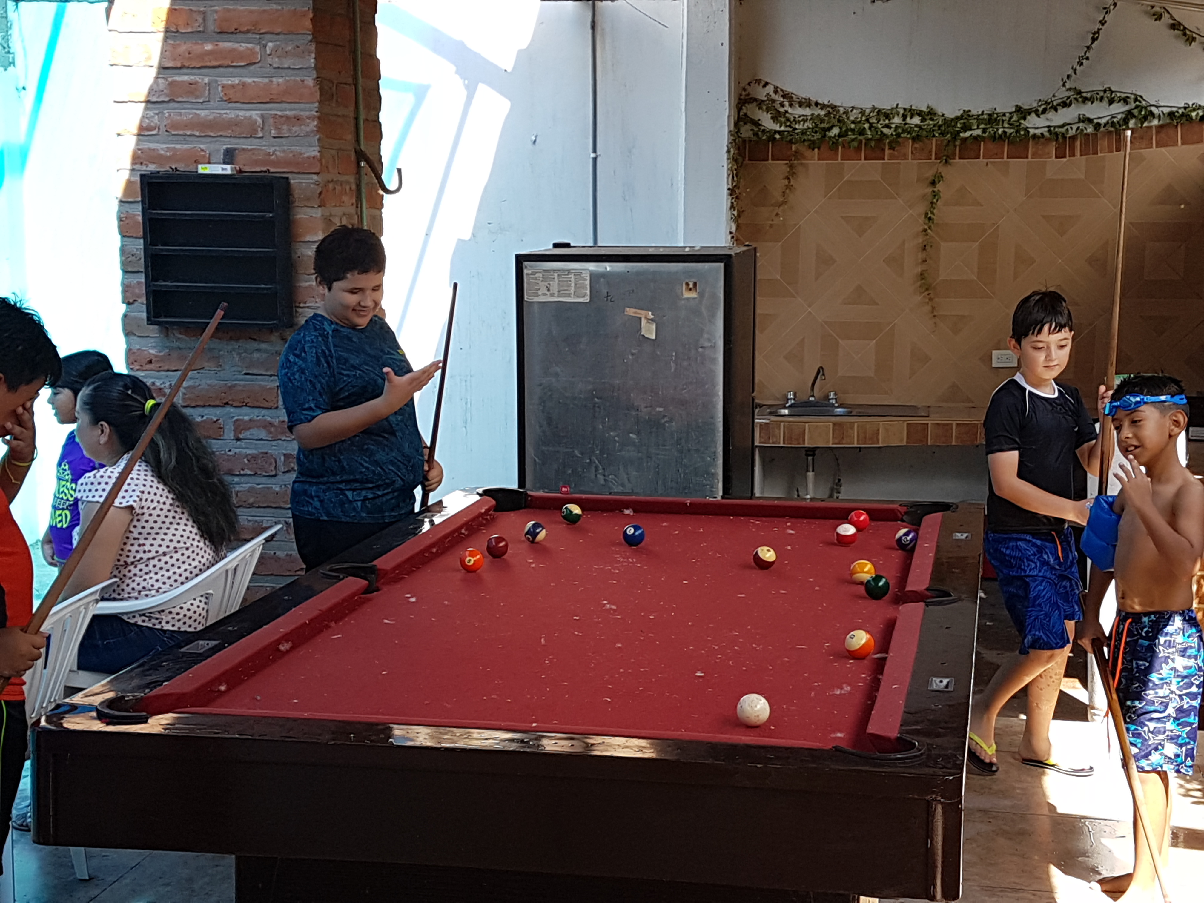 Los Pavorreales image 7