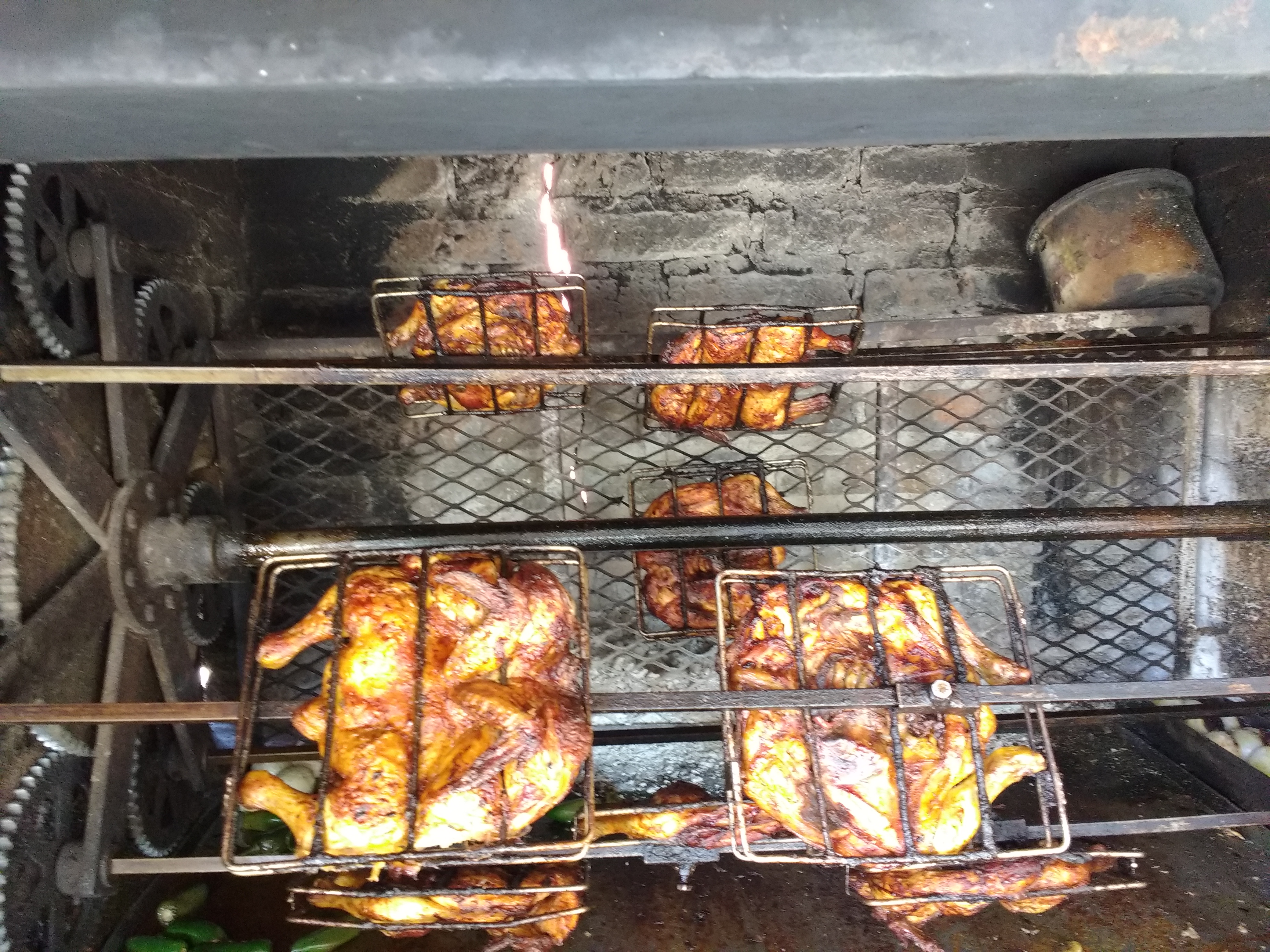 Pollito Lindo image 2