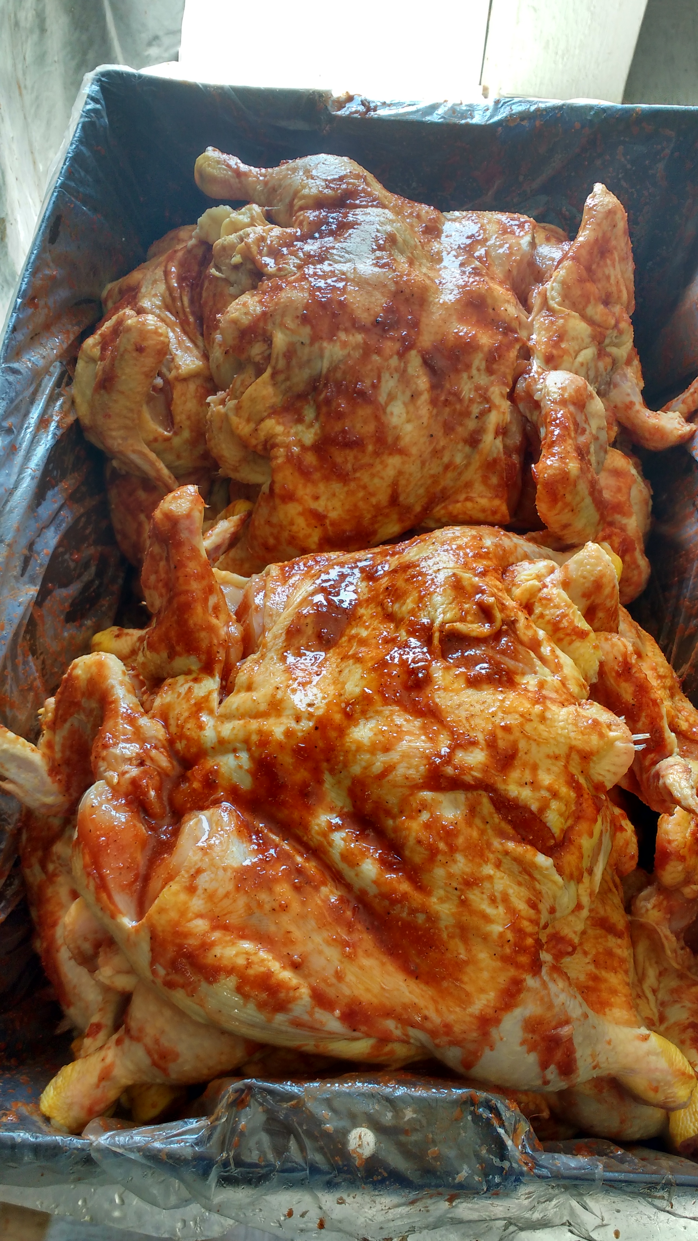 Pollito Lindo image 8