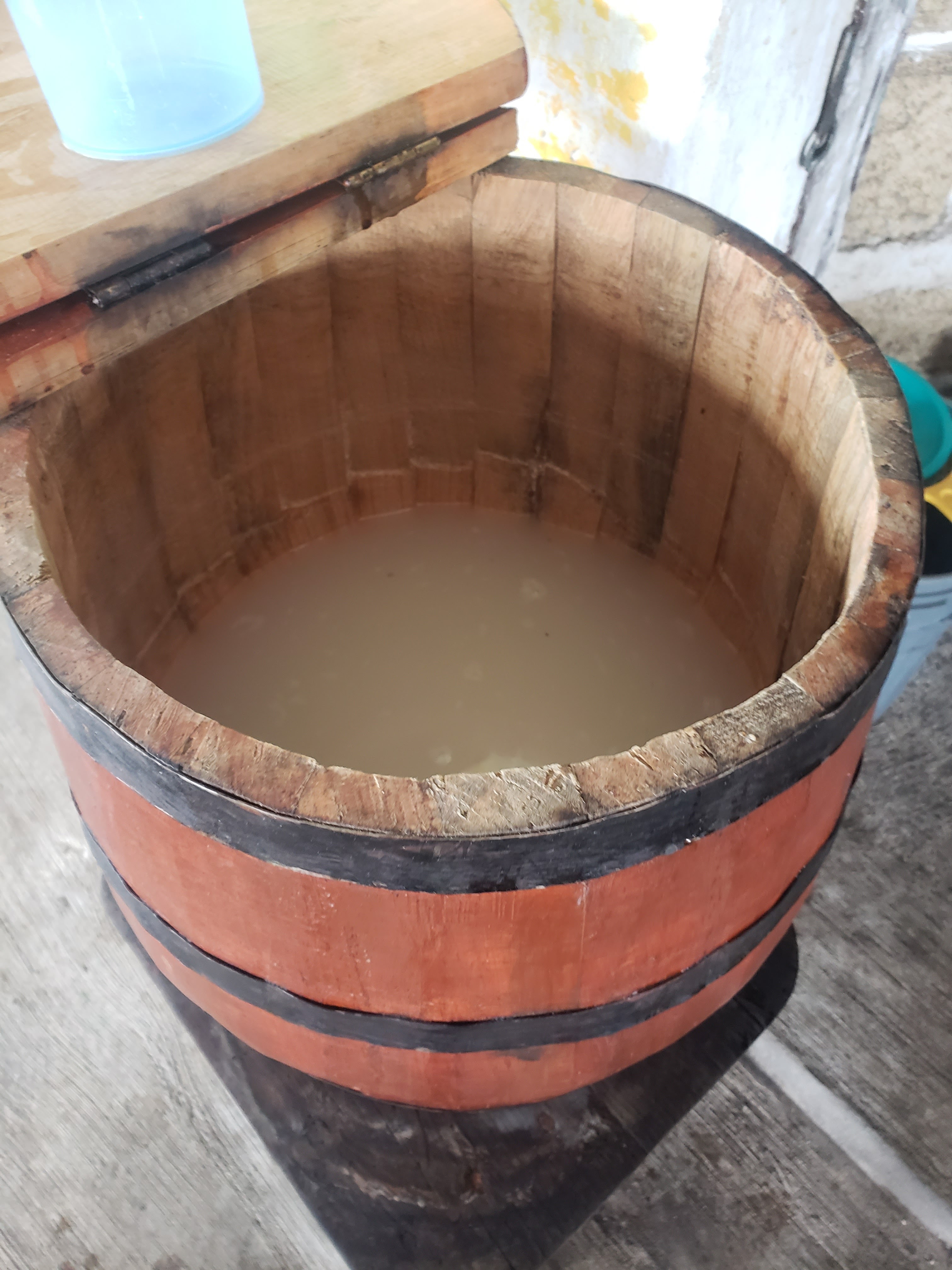 Pulqueterapia image 5