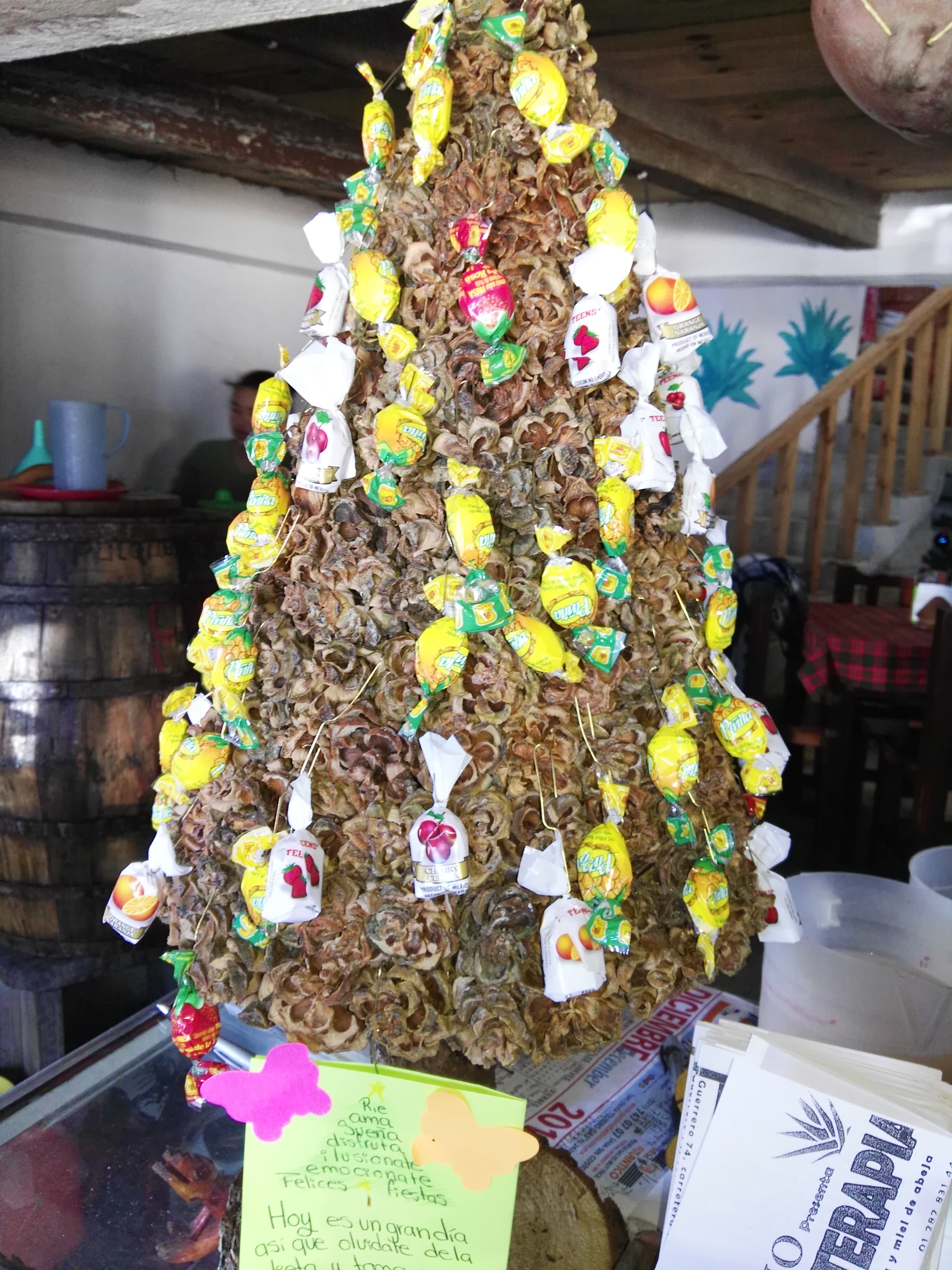 Pulqueterapia image 7