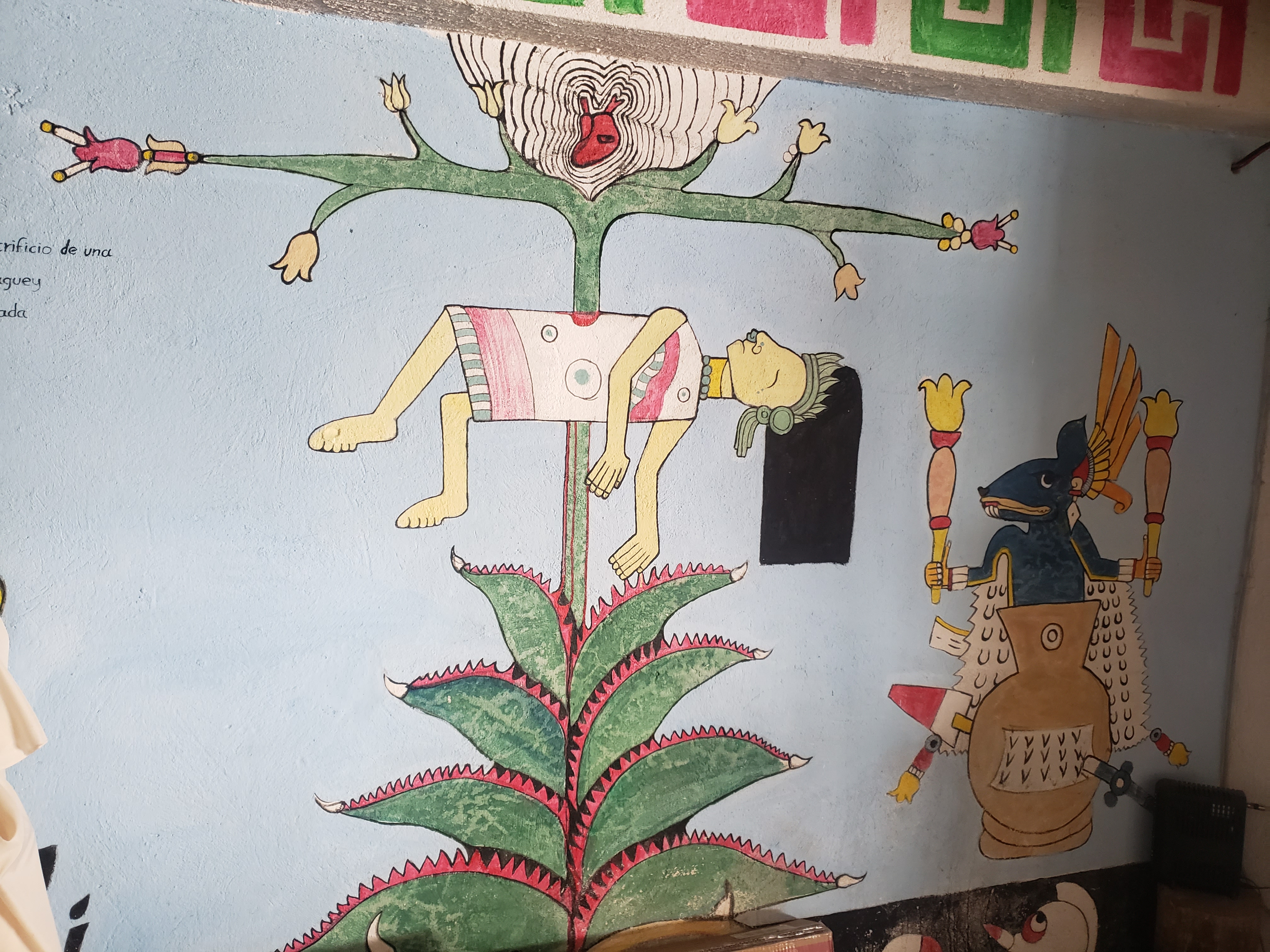 Pulqueterapia image 8