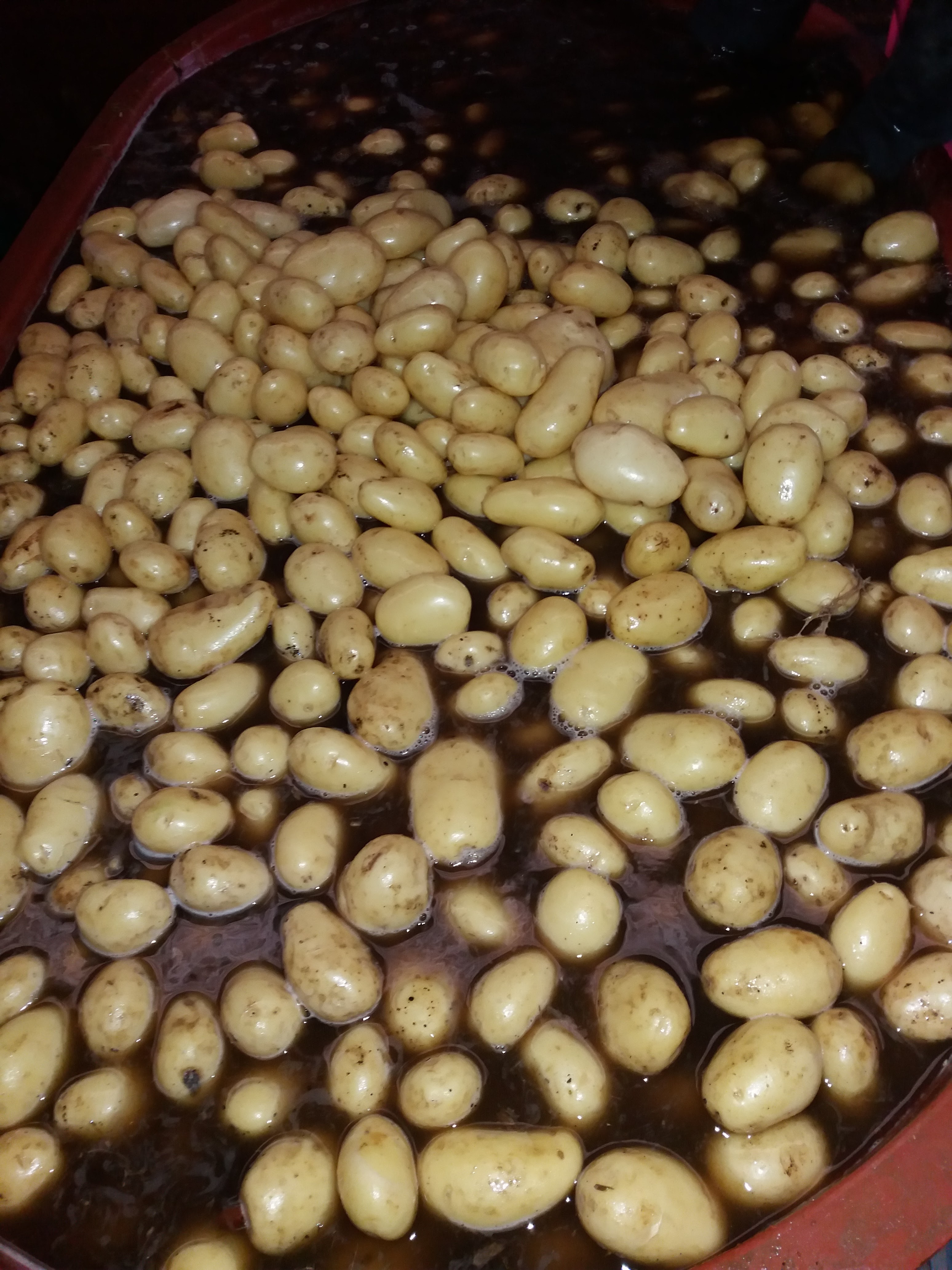 Pulqueterapia image 10