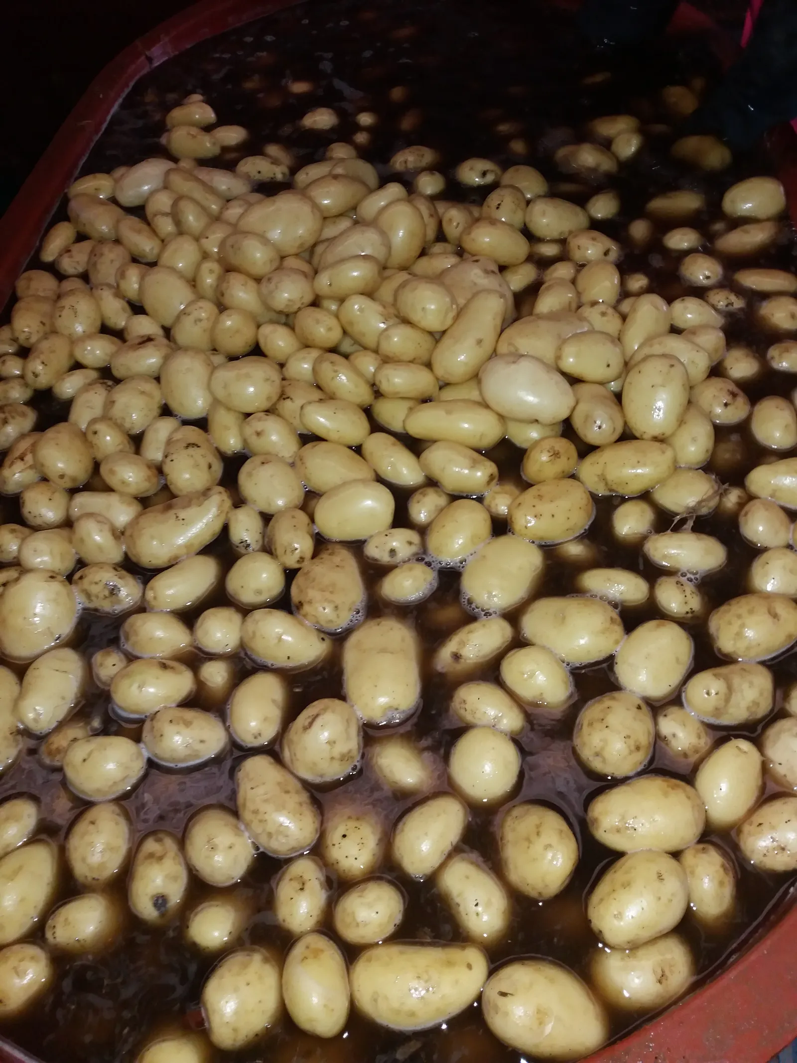Pulqueterapia image 10