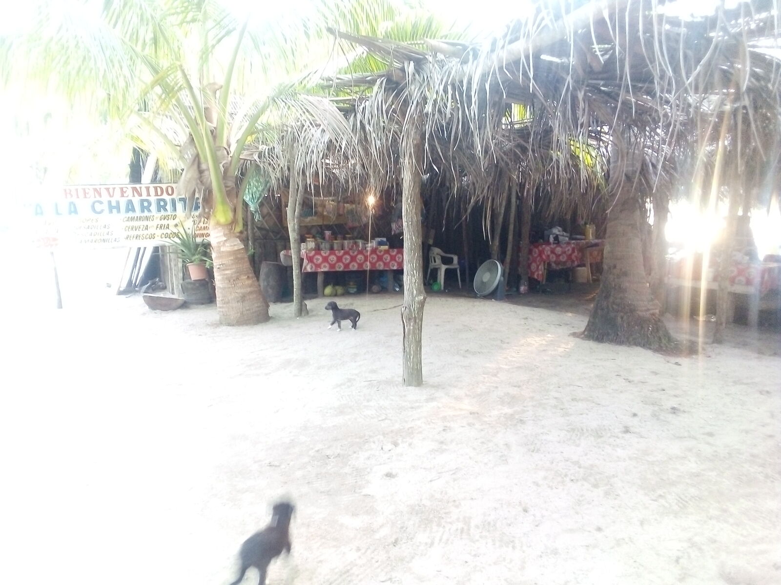 La Charrita image 8