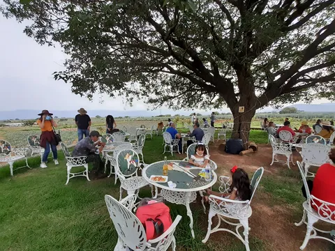 Rancho Convivencia Tequilera image 1