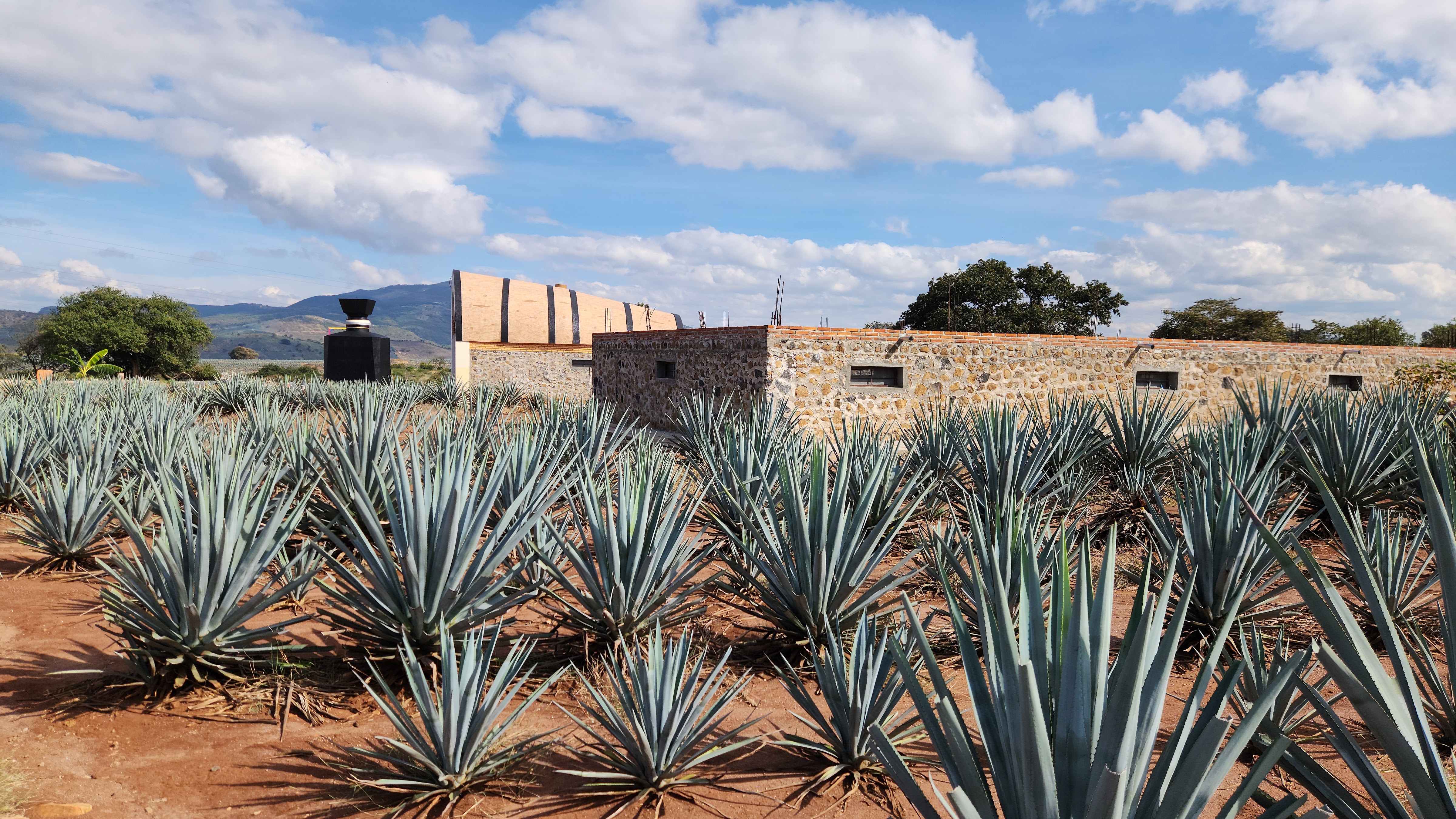Rancho Convivencia Tequilera image 4