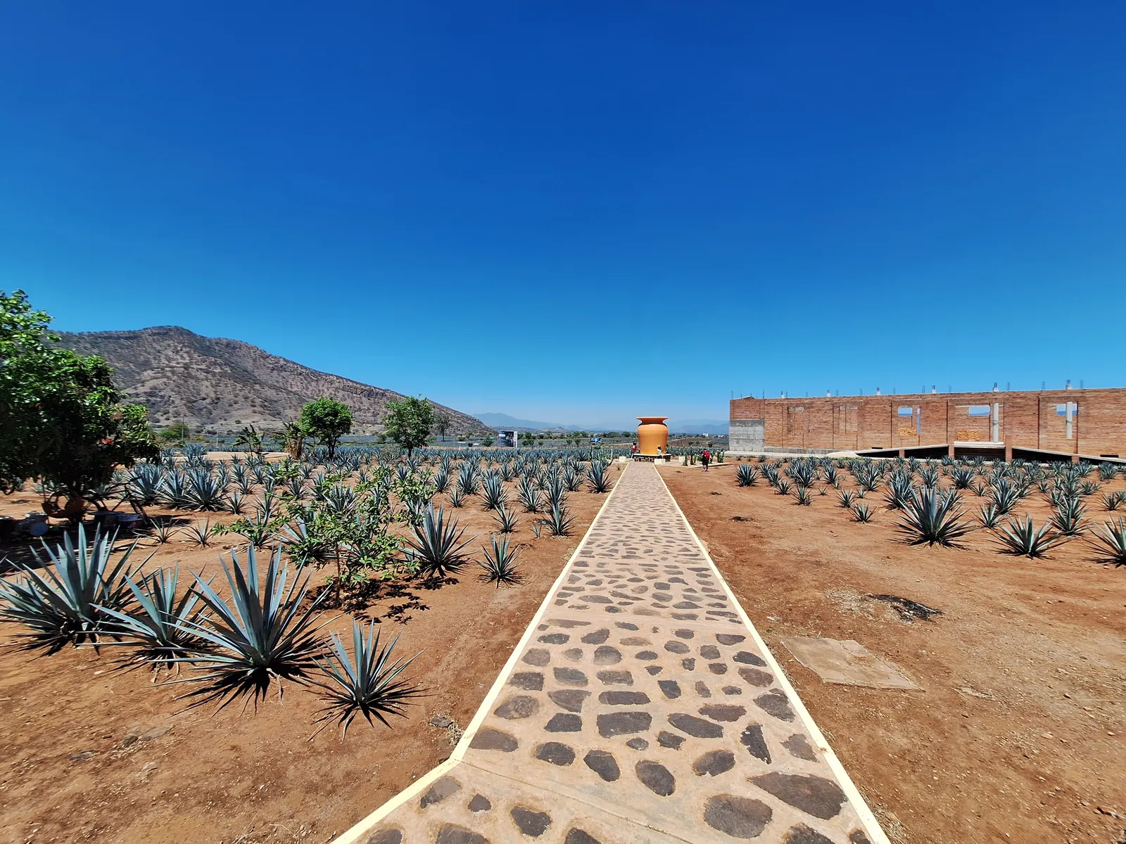 Rancho Convivencia Tequilera image 7
