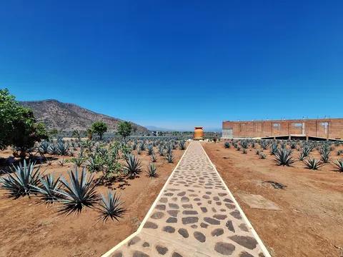 Rancho Convivencia Tequilera image 7