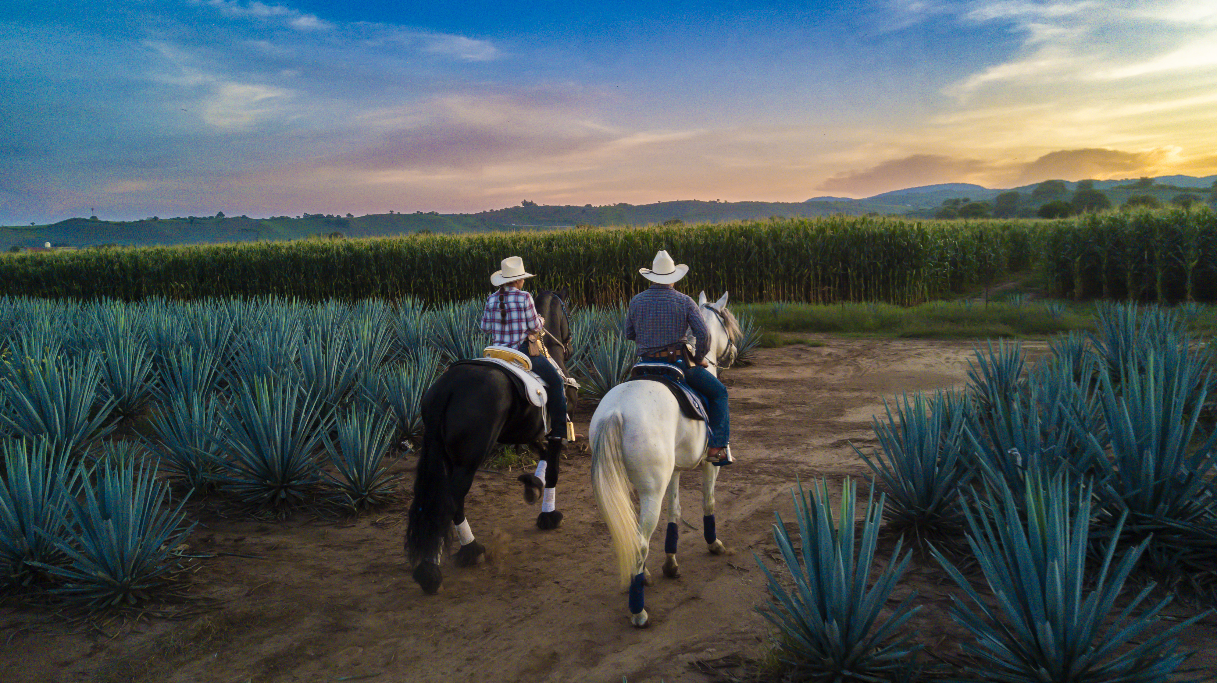 RANCHO APAPACHOS image 2