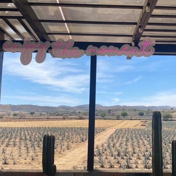 RANCHO APAPACHOS image 7