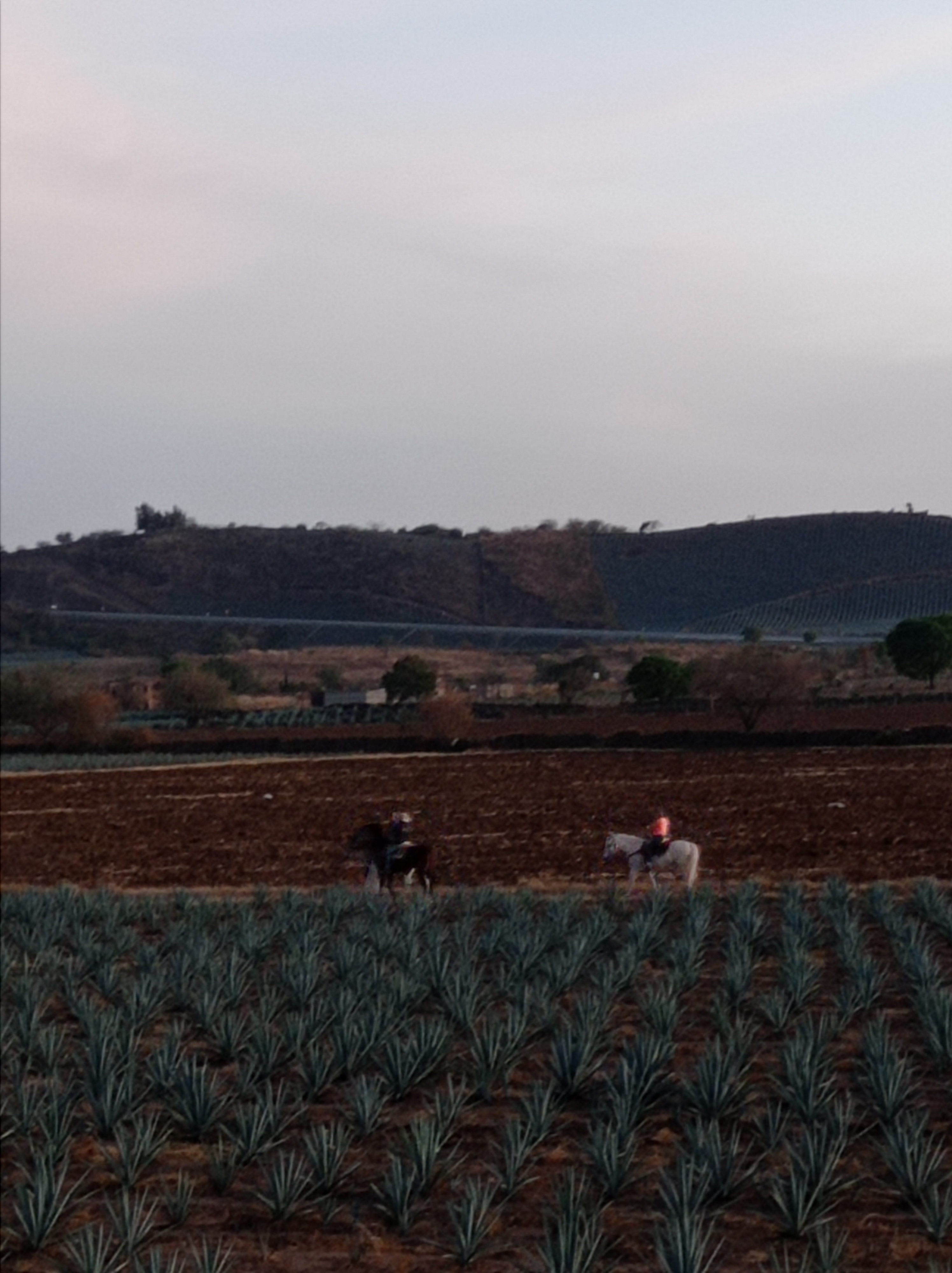 RANCHO APAPACHOS image 8