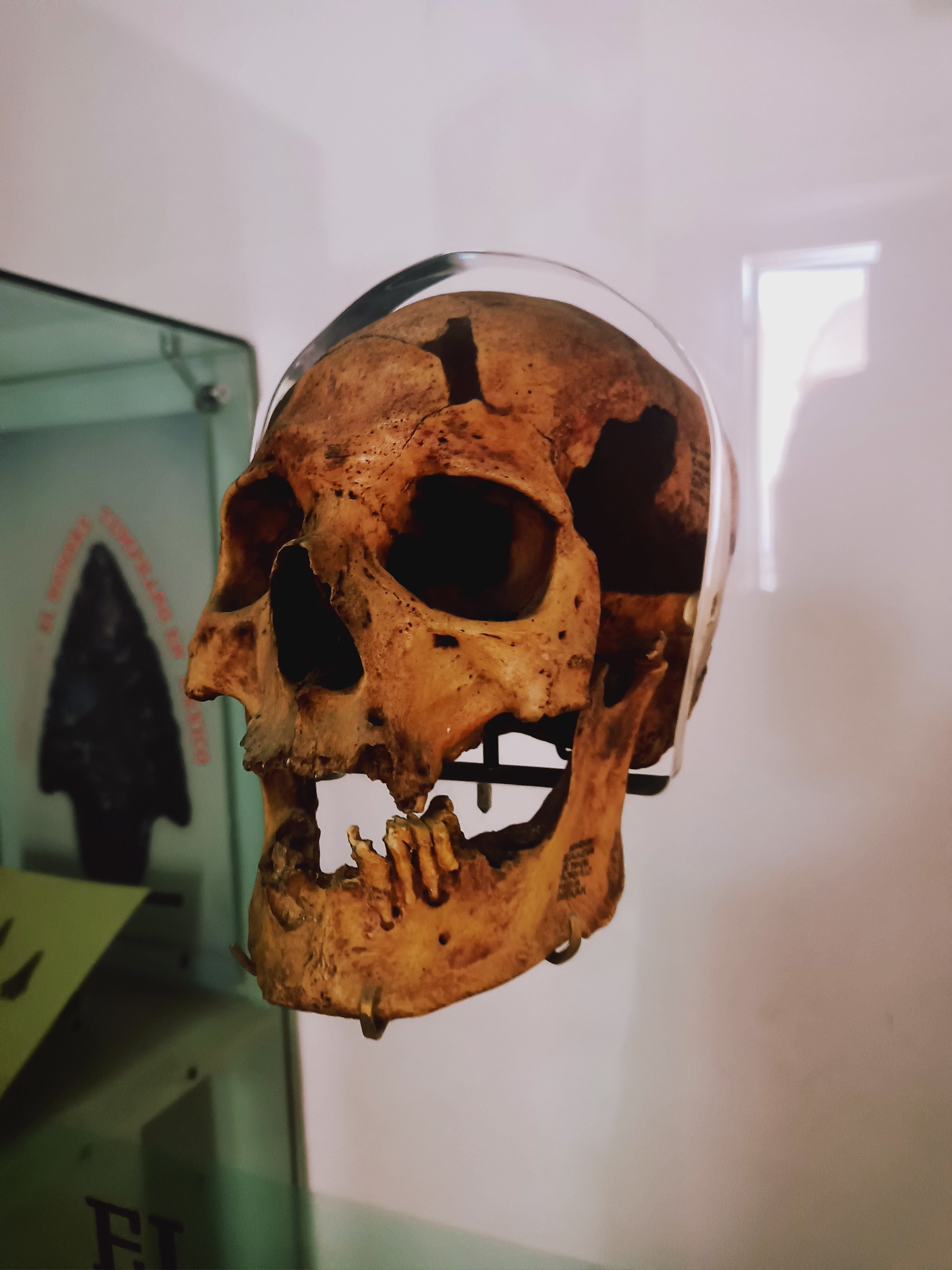 Tortas Ahogadas Los Primos image 7