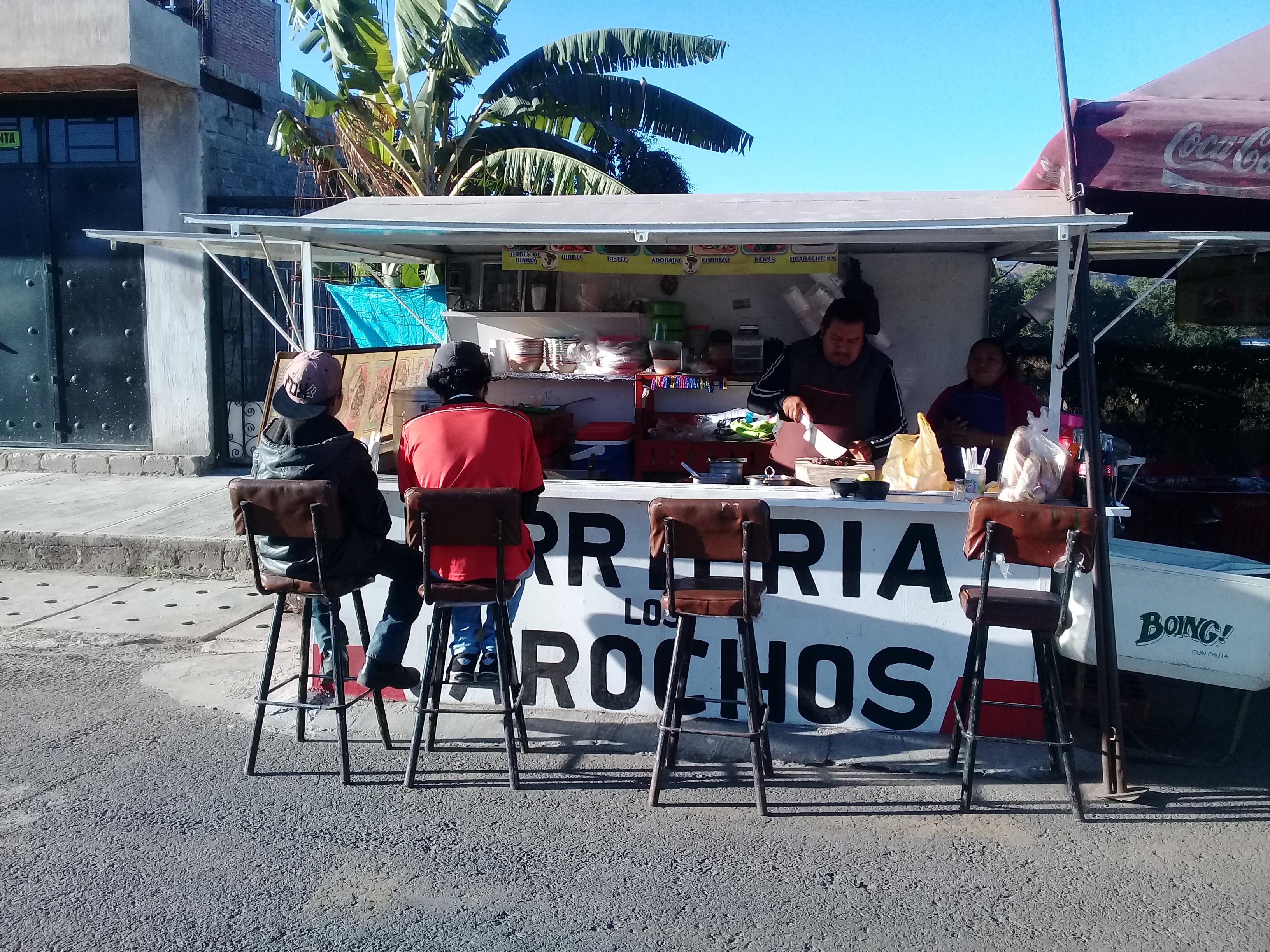 LOS JAROCHOS image 1