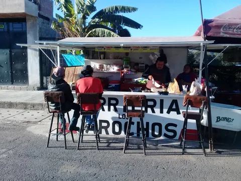 LOS JAROCHOS image 1