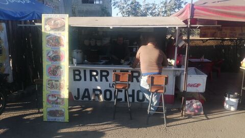 LOS JAROCHOS image 4
