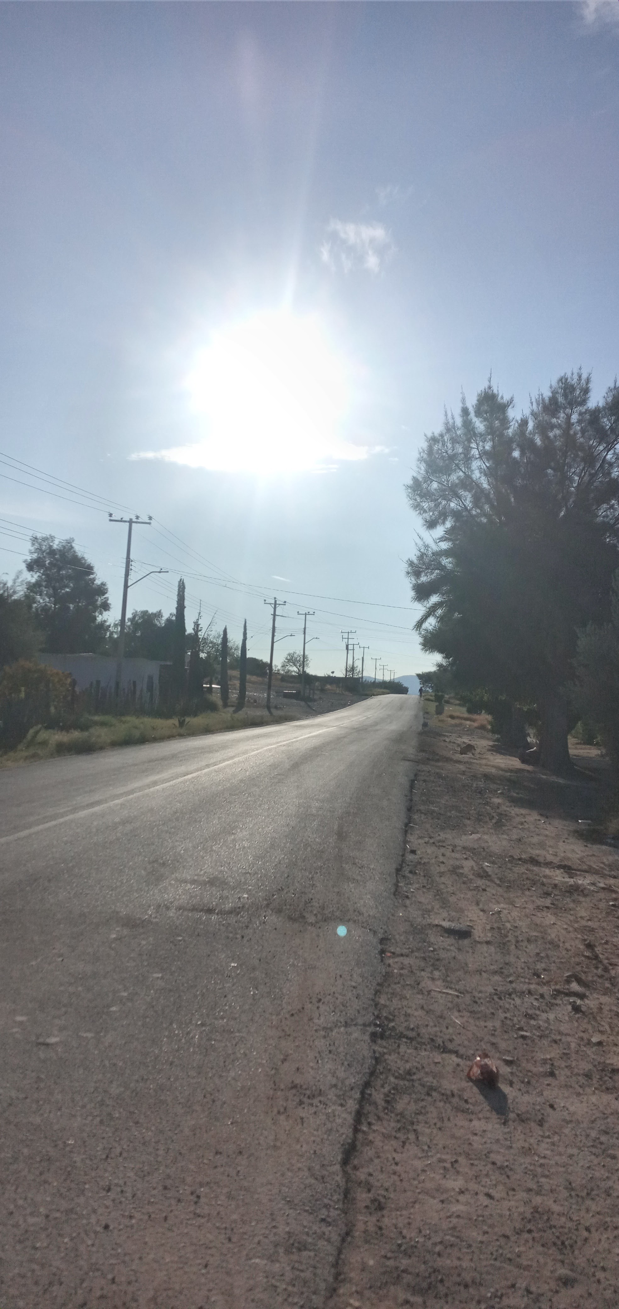 Restaurante Lucy image 9