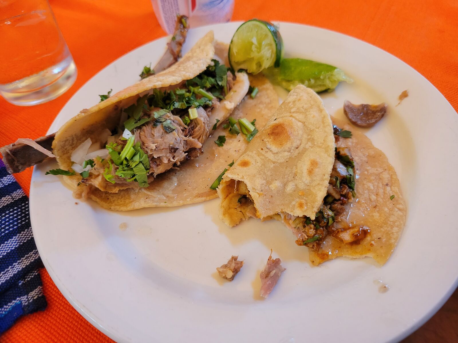Casa Maguey image 8