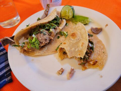 Casa Maguey image 8
