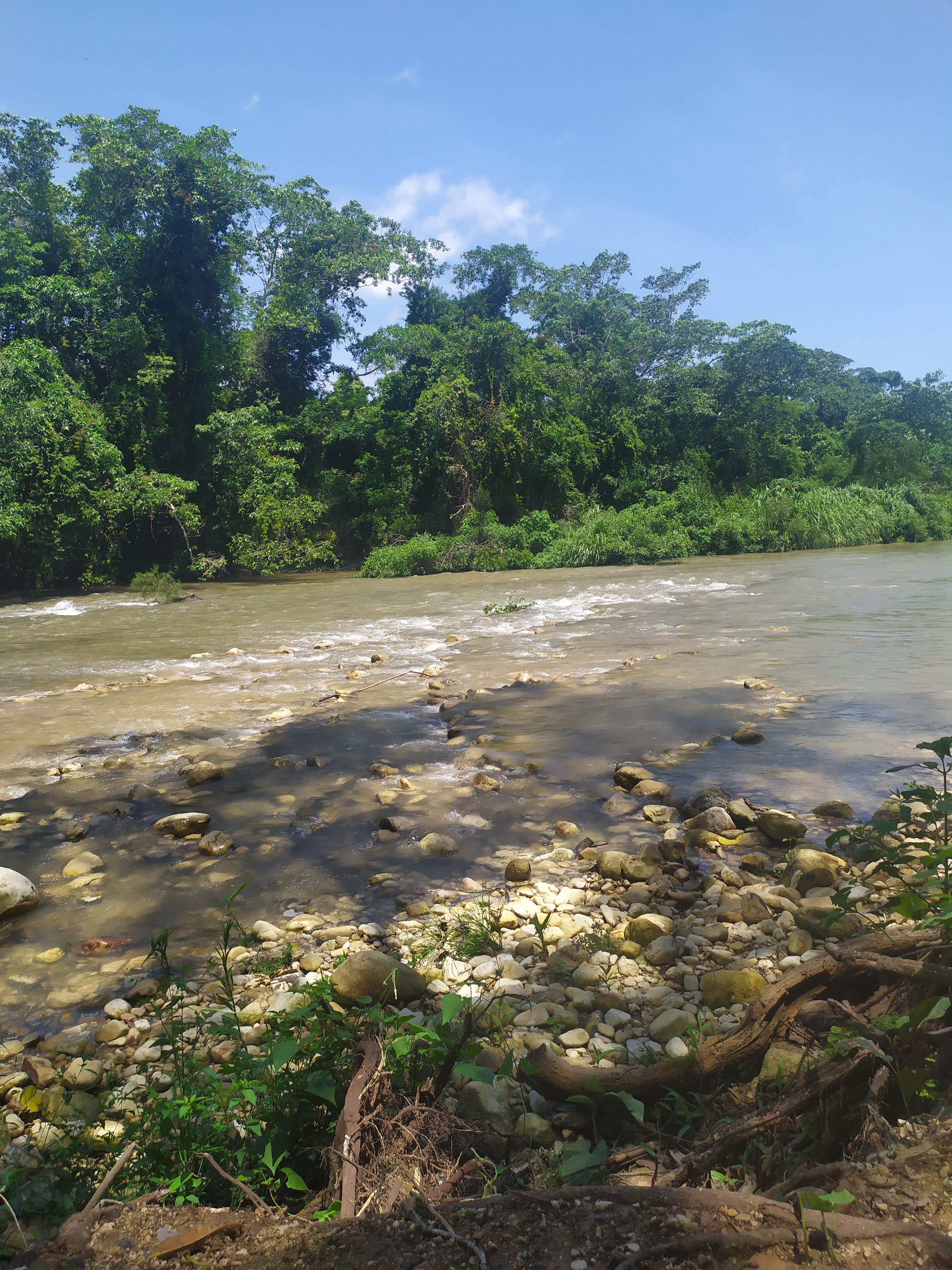 BALNEARIO Y COMEDOR LA ISLA image 3