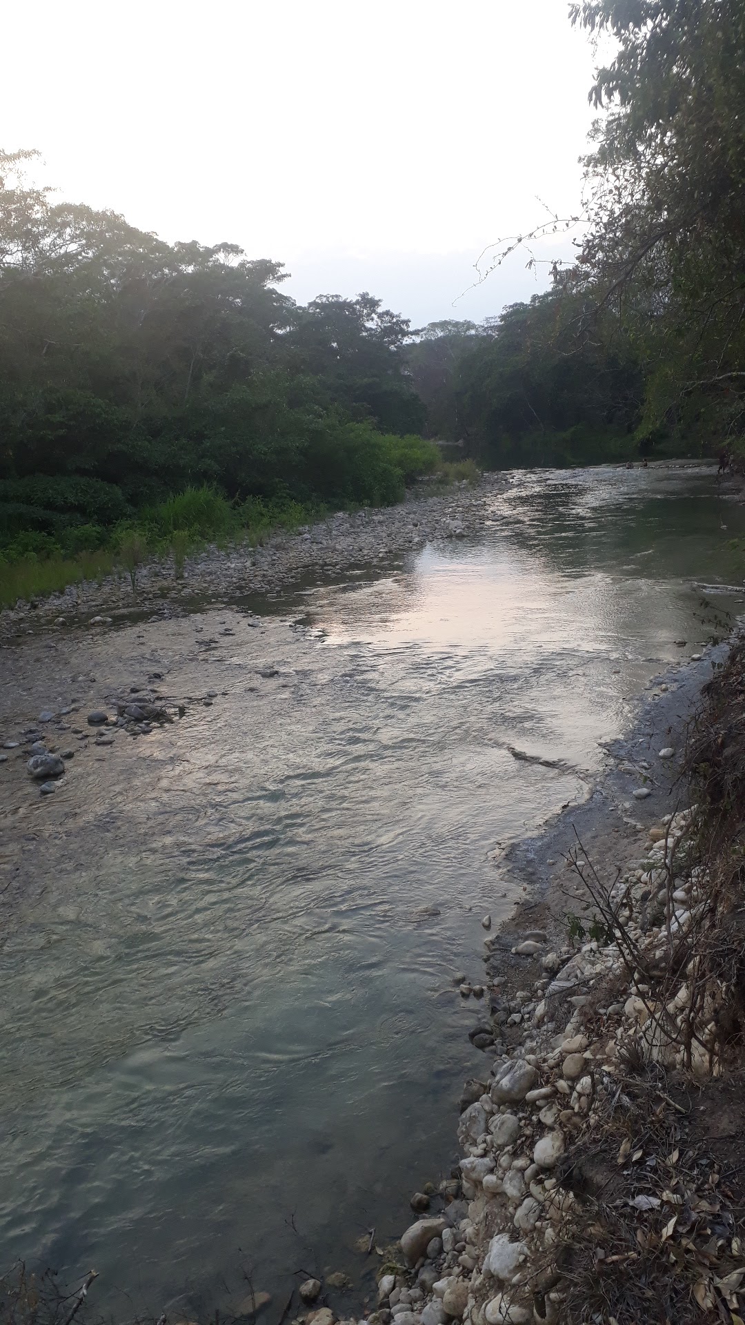 BALNEARIO Y COMEDOR LA ISLA image 10