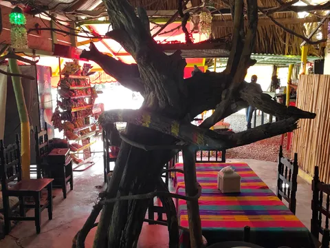 Las raíces image 3