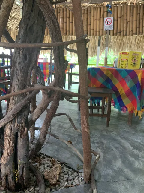 Las raíces image 6