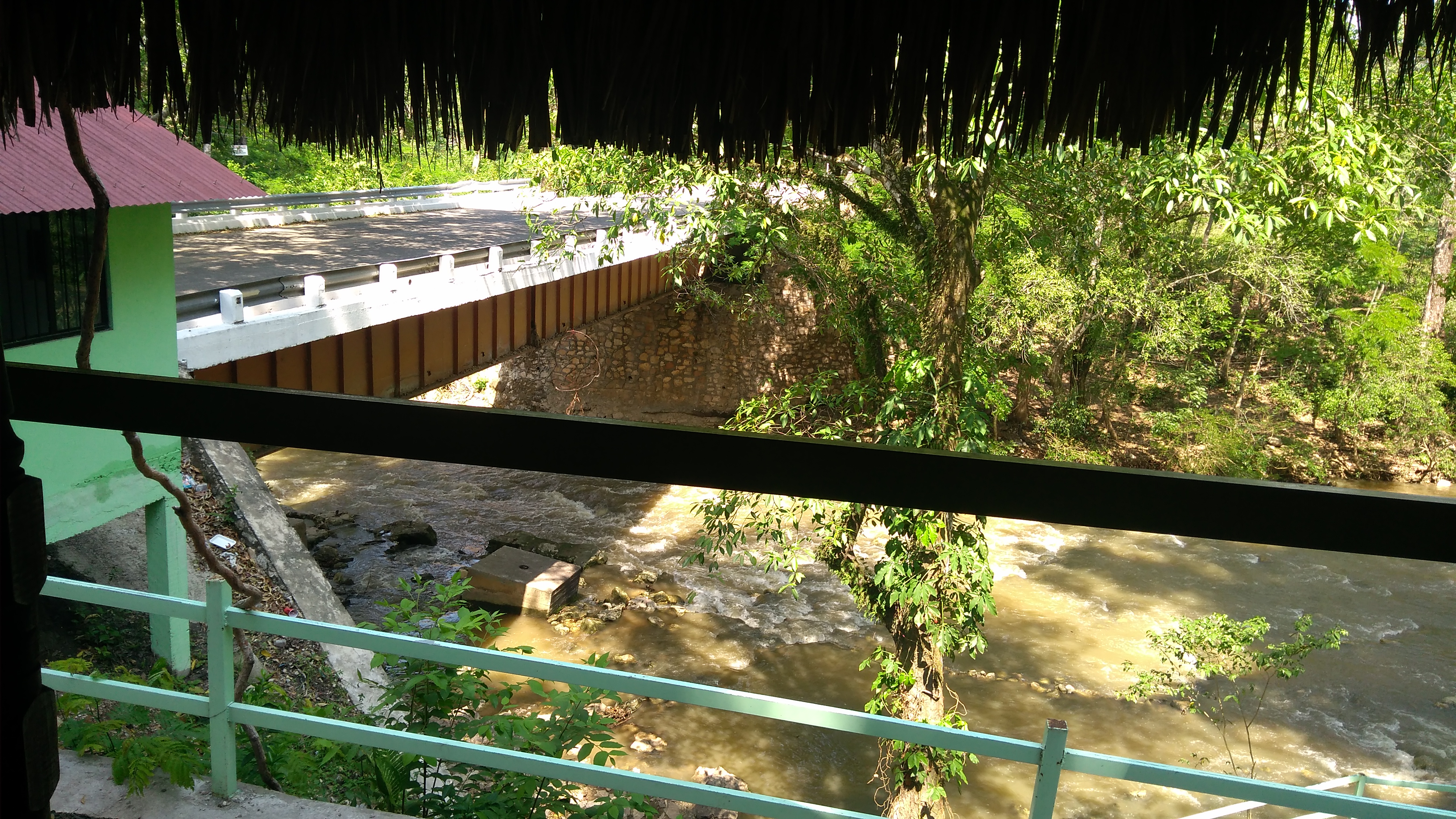 Las raíces image 10