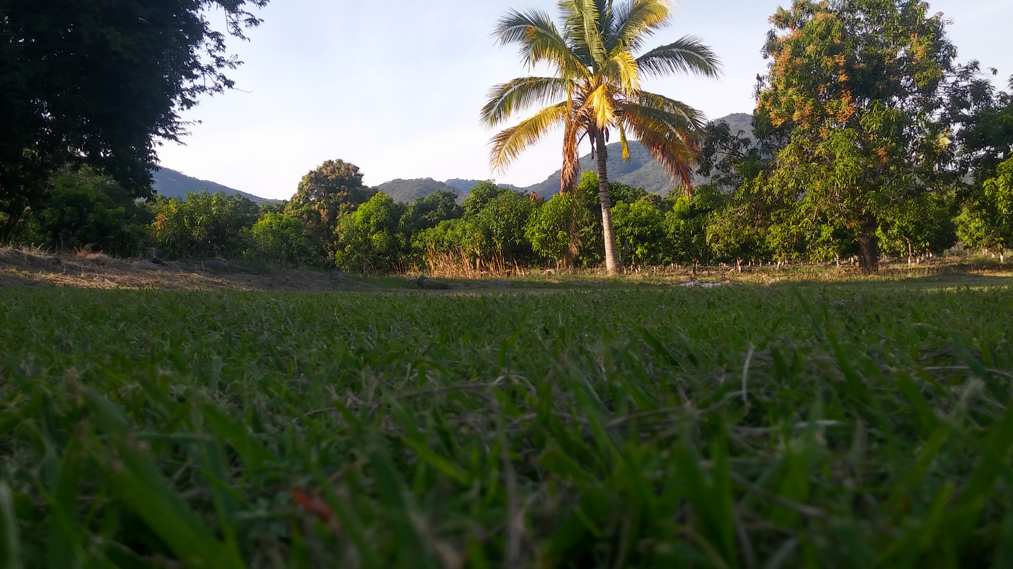 micheladas y tostadas *crispo* image 4