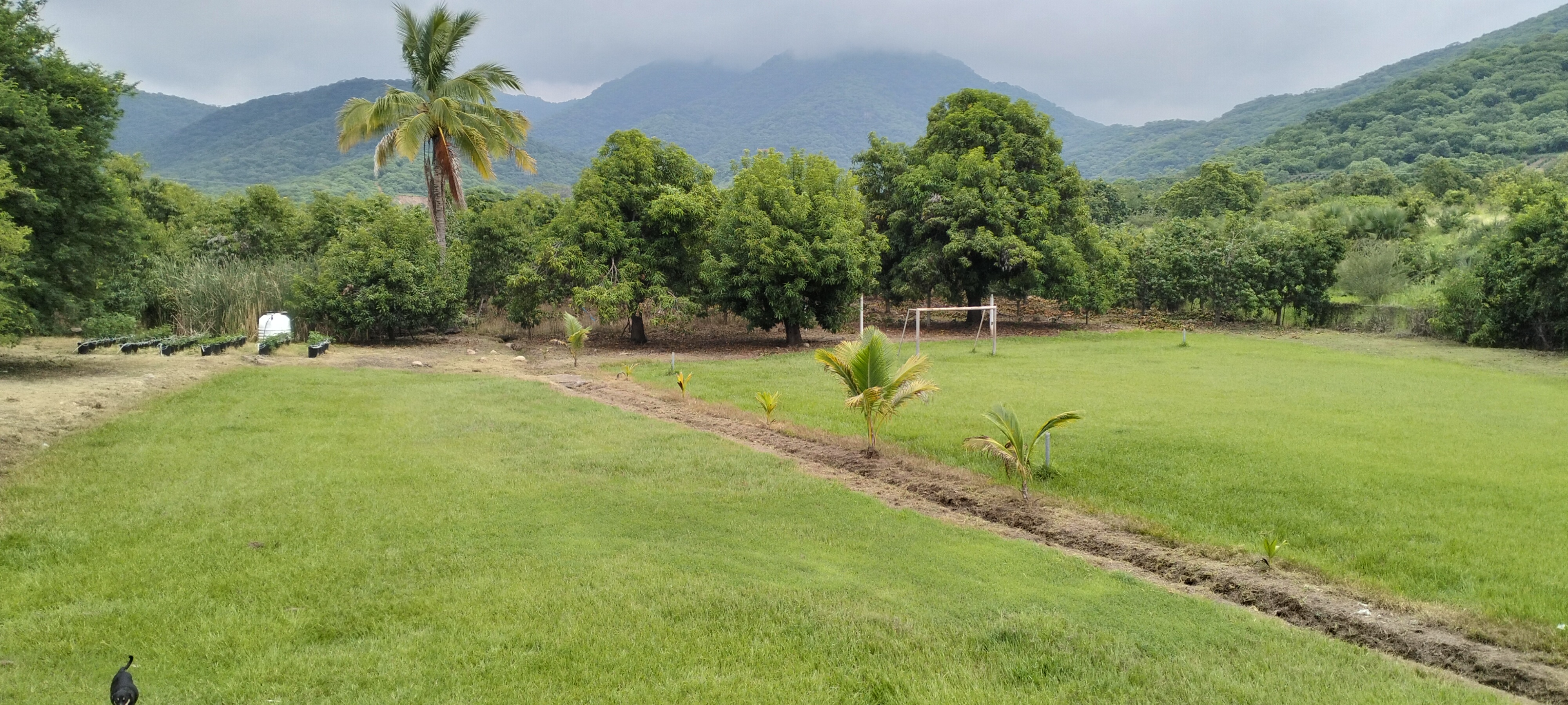 micheladas y tostadas *crispo* image 8
