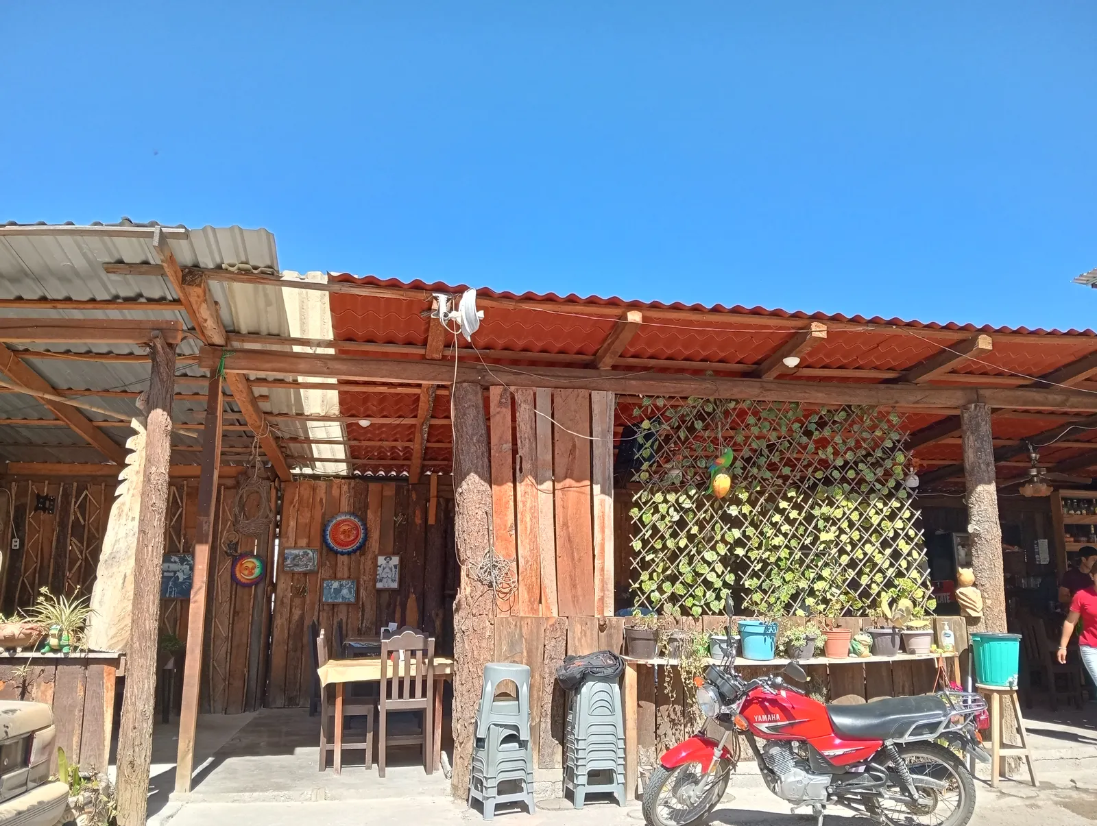 Birrias BETO al estilo tijuana image 3